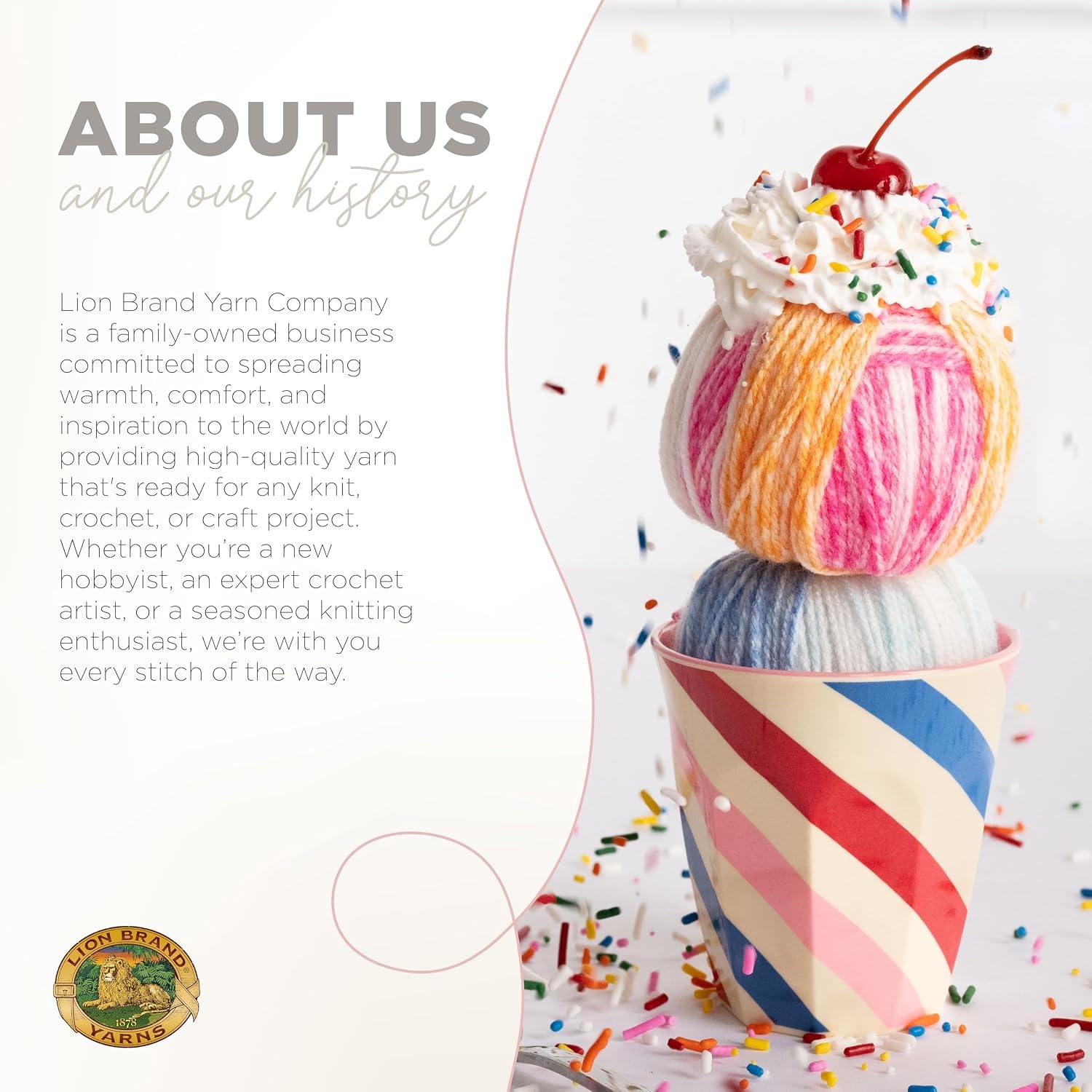 image:image1 Skein Lion Brand Yarn Ice Cream Baby Yarn BlueberryBaseball Nut