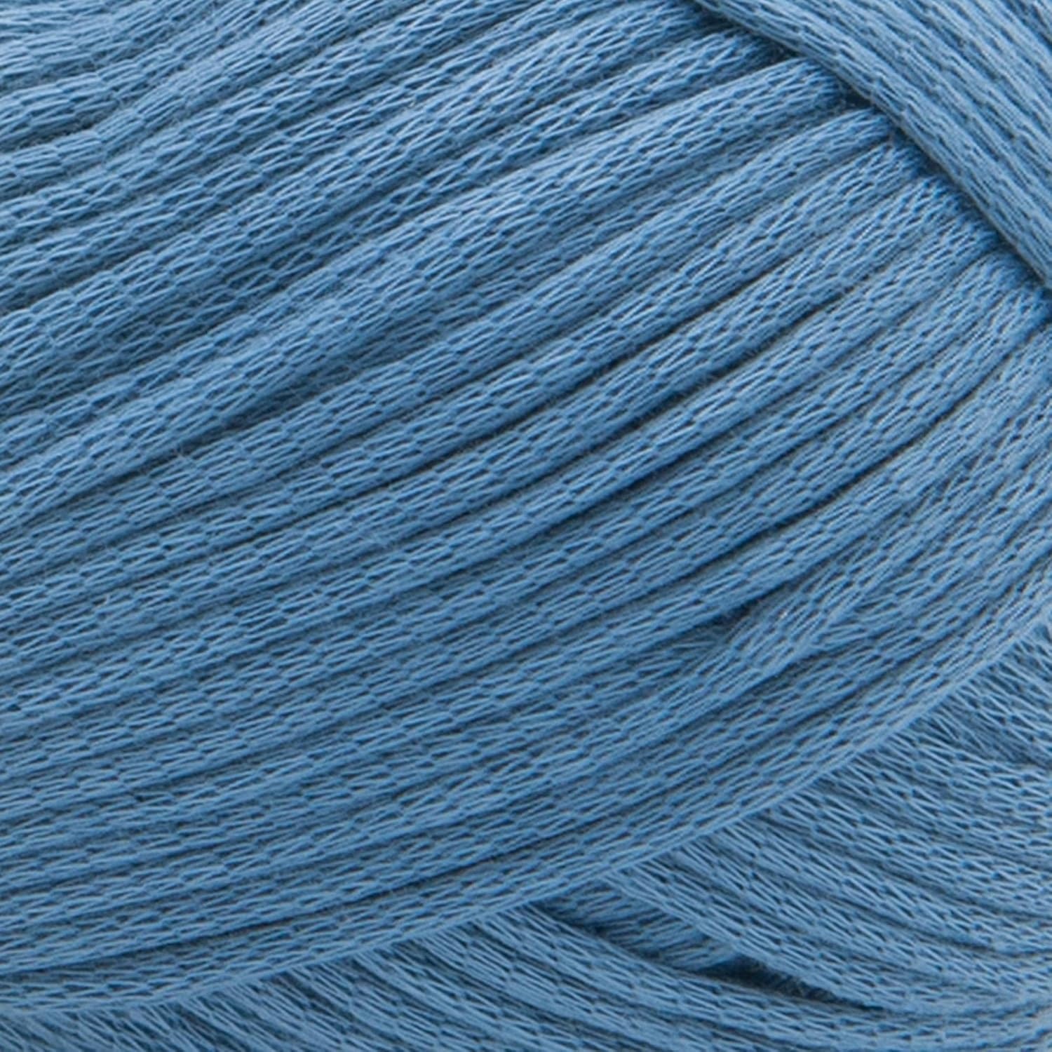 image:imageLion Brand Lazy Days Beginner Yarn for Knitting Crocheting and Crafts Clay 3 PackBluebell