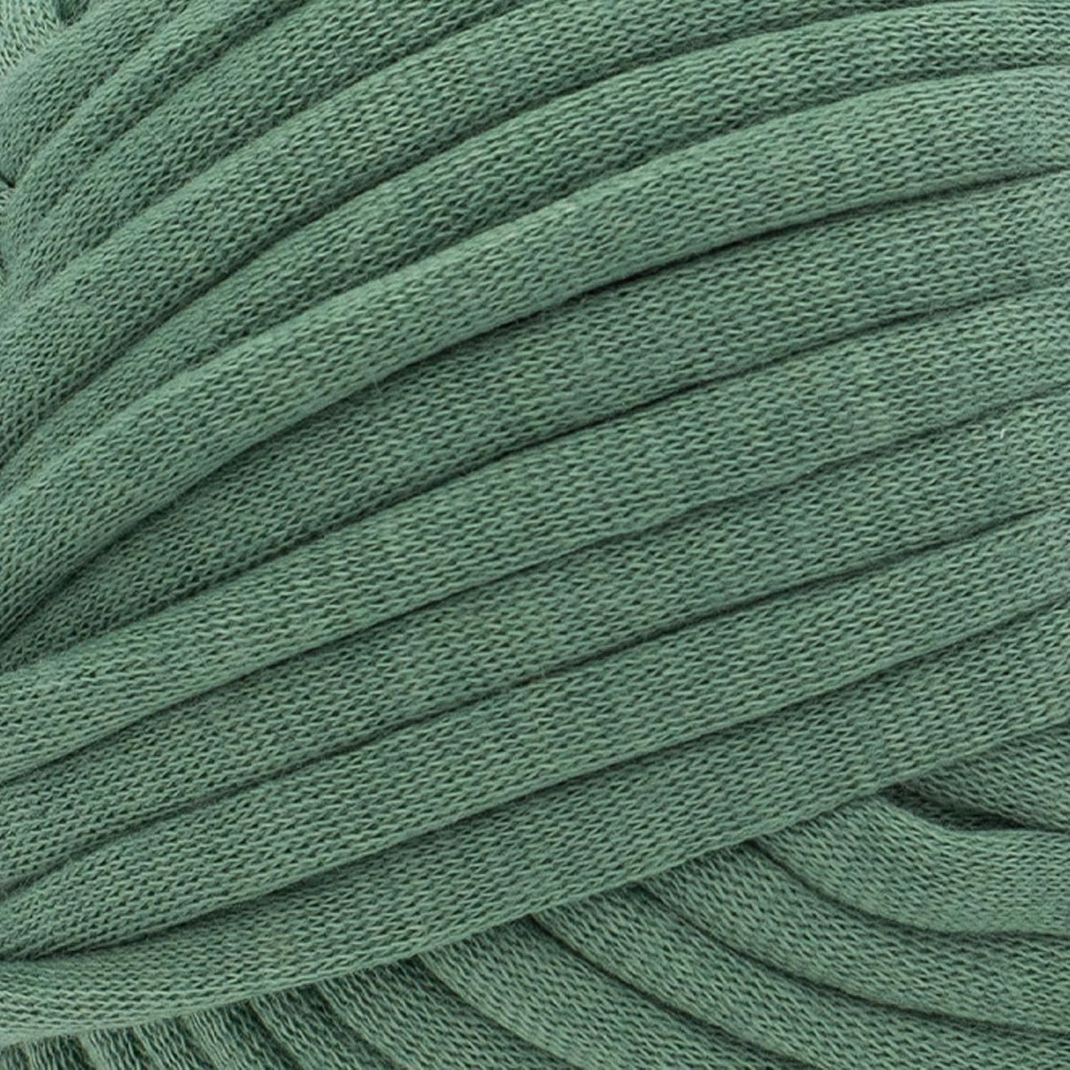 image:imageLion Brand Yarn Cover Story Lazy Days Thick amp Quick Blanket Yarn Eggplant 1 PackEvergreen