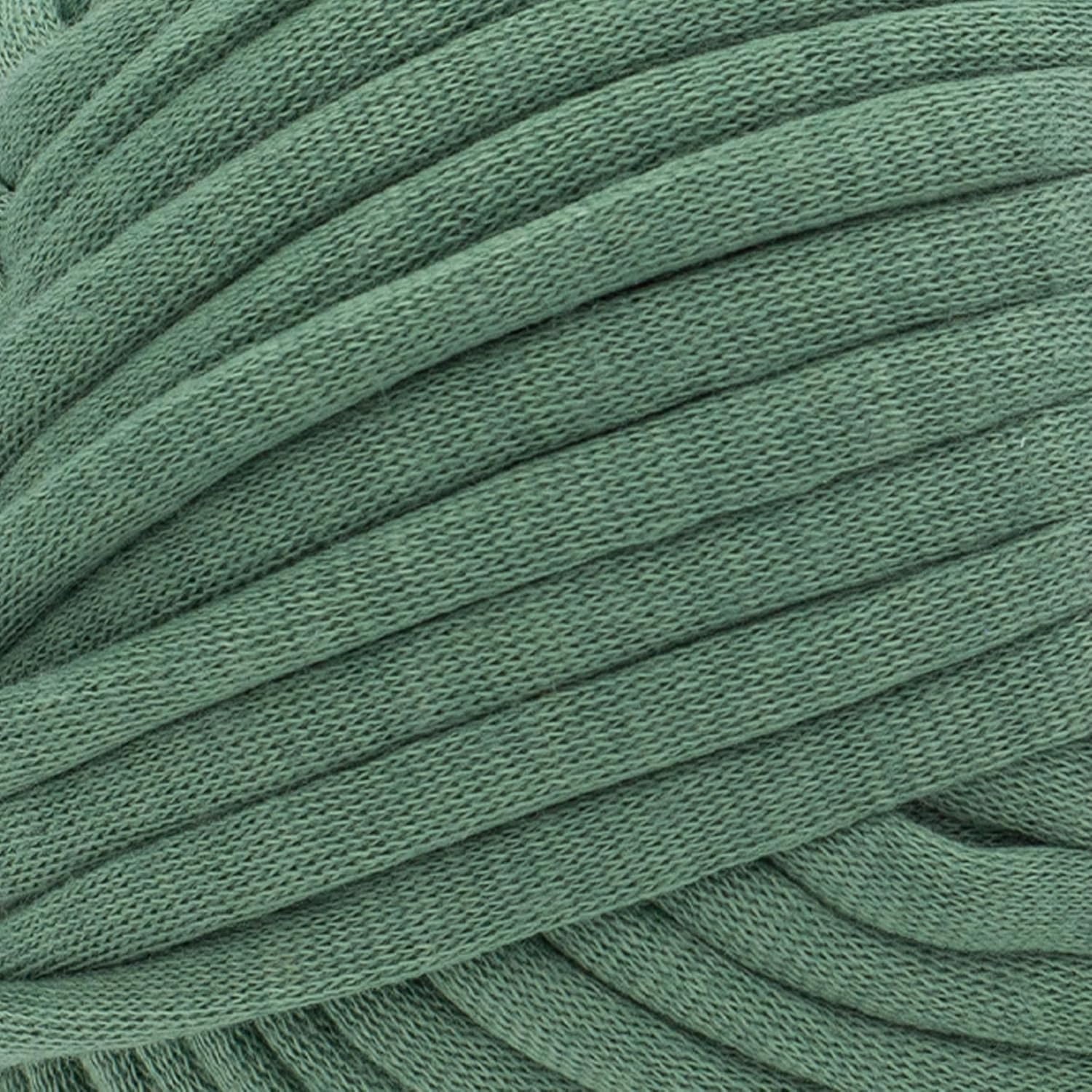 image:imageLion Brand Yarn Cover Story Lazy Days Thick amp Quick Blanket Yarn Eggplant 1 PackEvergreen