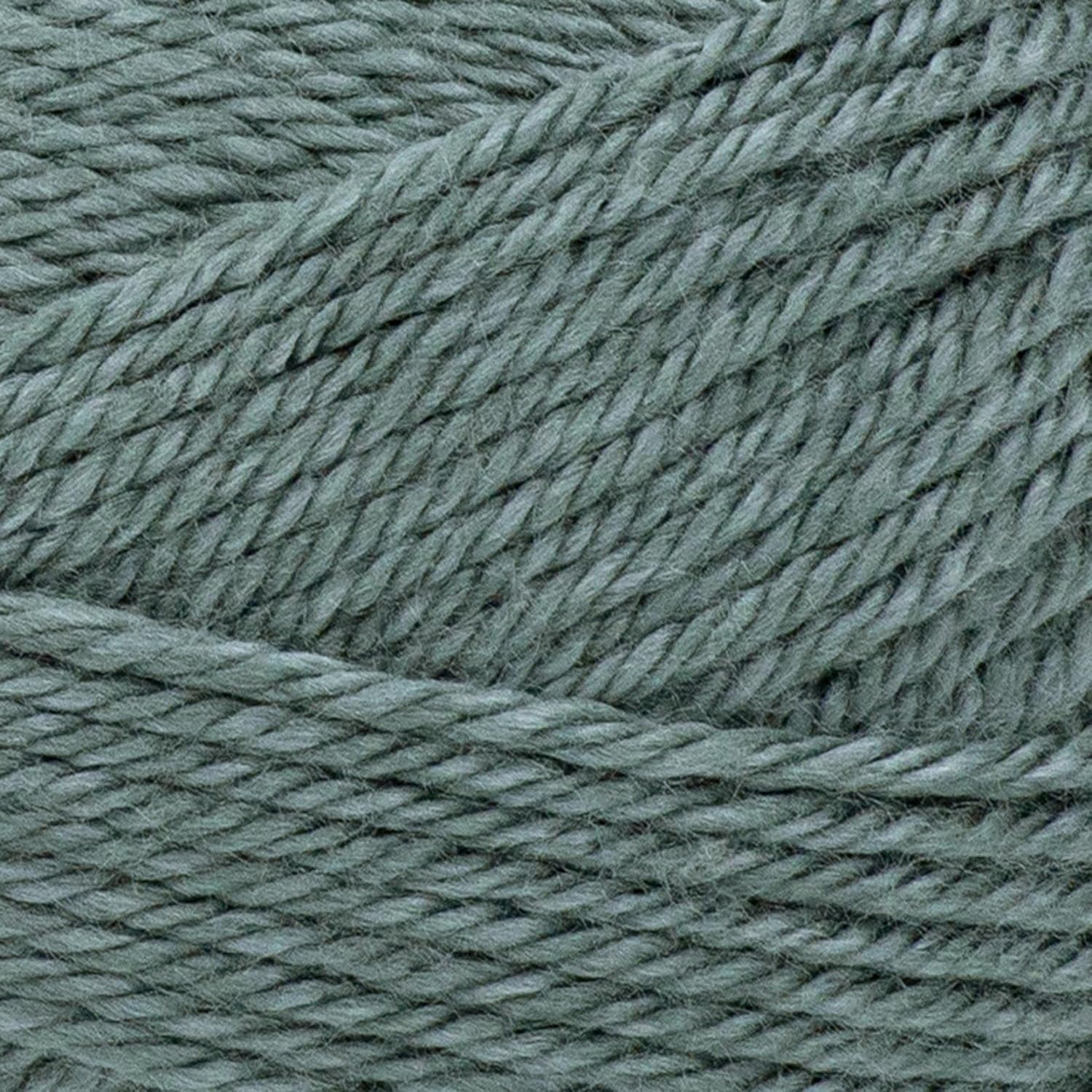 image:imageLion Brand Yarn Heartland Yarn WorstedWeight Yarn for Knitting Crocheting and Crafting 1 Pack Channel IslandsPetrified Forest