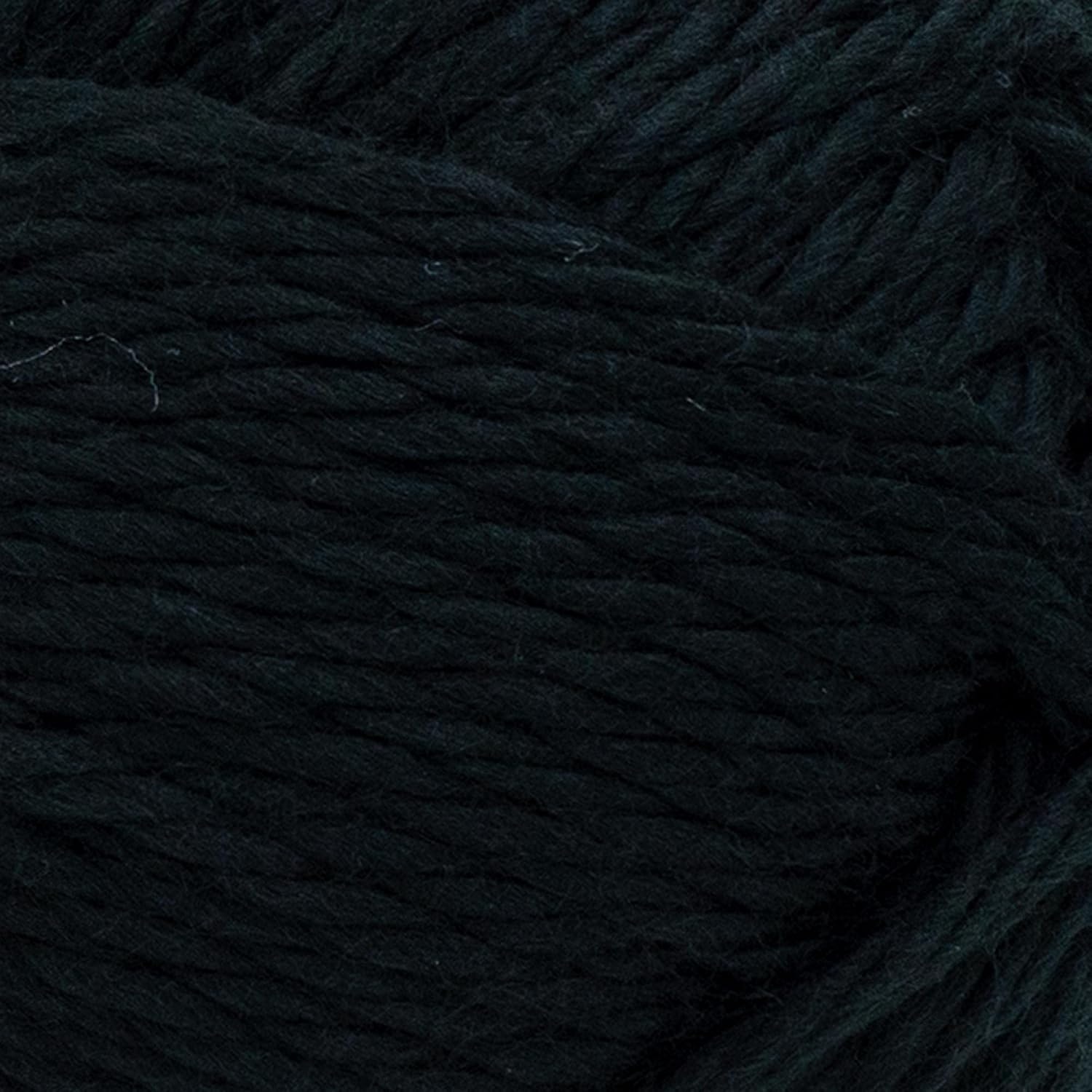 image:imageLion Brand Yarn Hometown Bonus Bundle Yarn Salem Creek 1 PackOakland Black