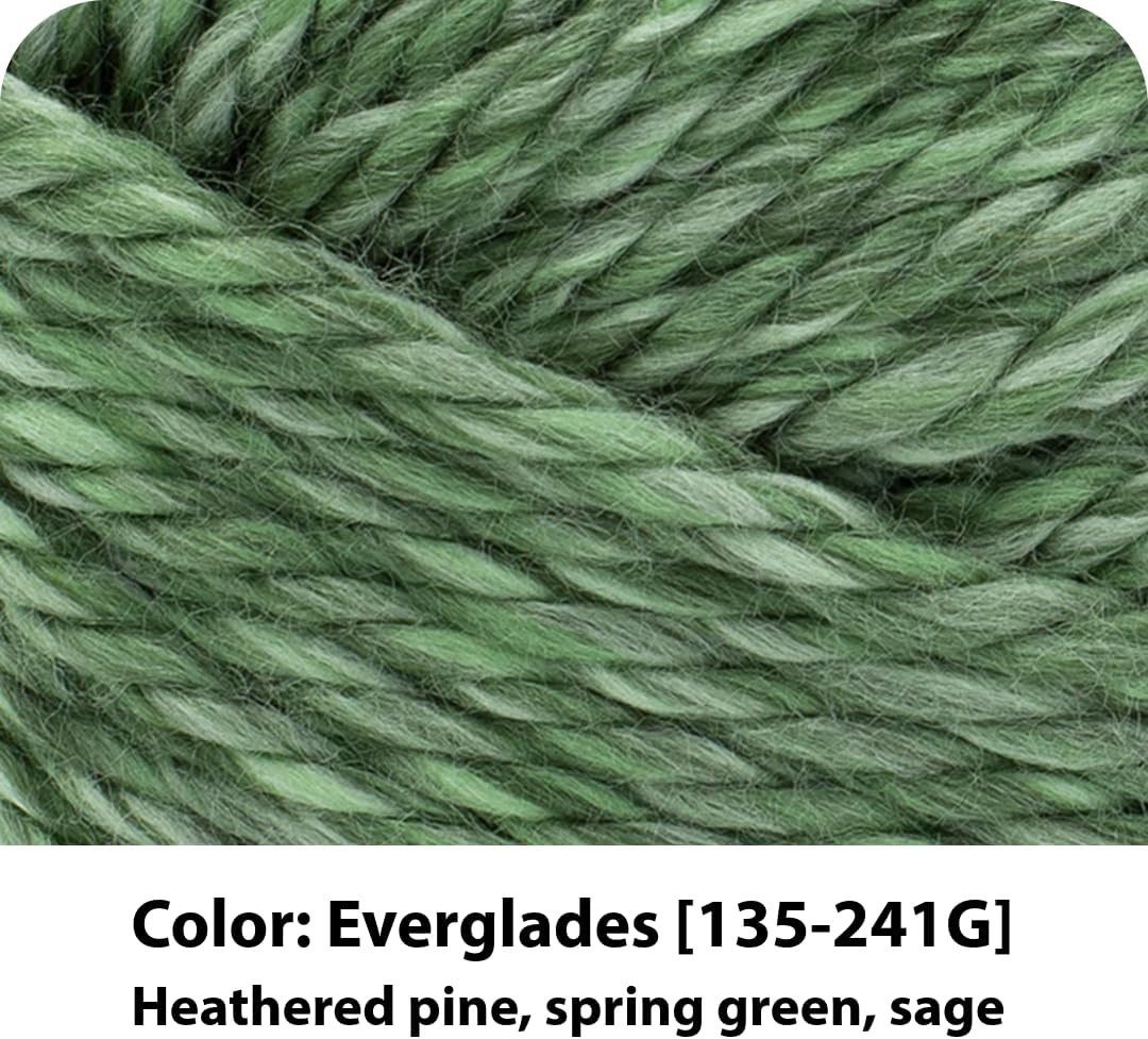 image:imageLion Brand Yarn Hometown Super Bulky Yarn 50 Shades Pack 12 SkeinsEverglades