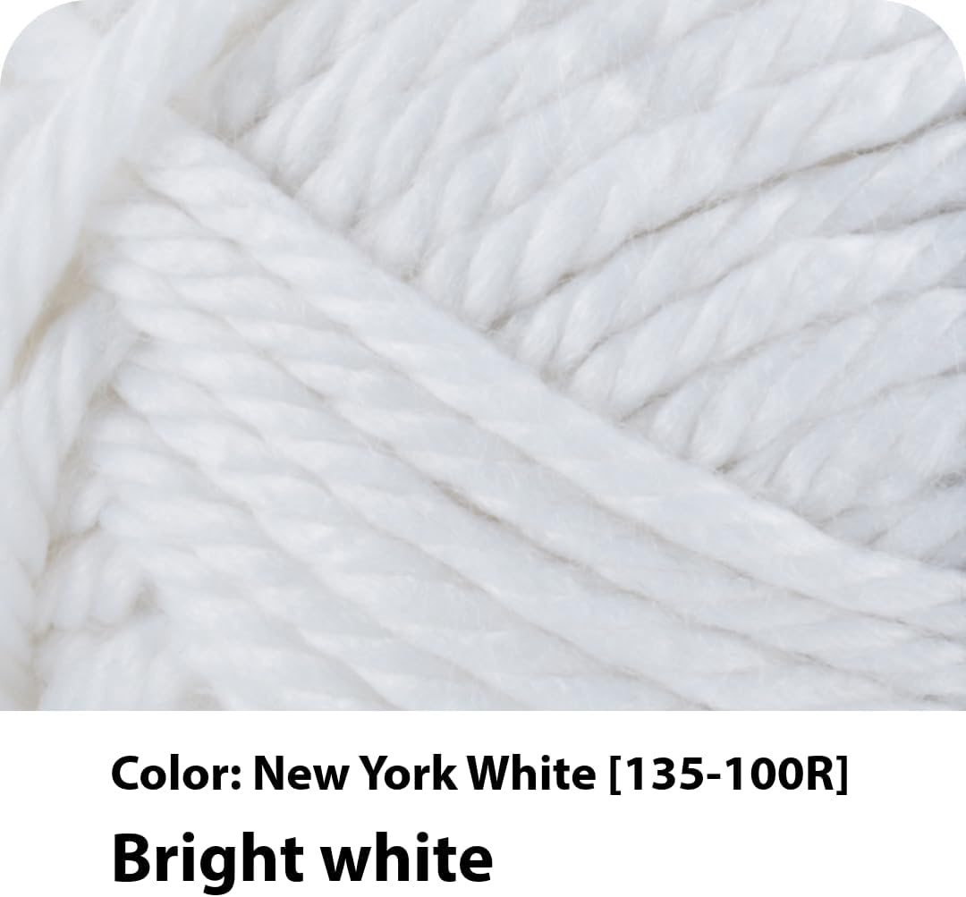 image:imageLion Brand Yarn Hometown Yarn Bulky Yarn Yarn for Knitting and Crocheting 1Pack Anchorage IceNew York White