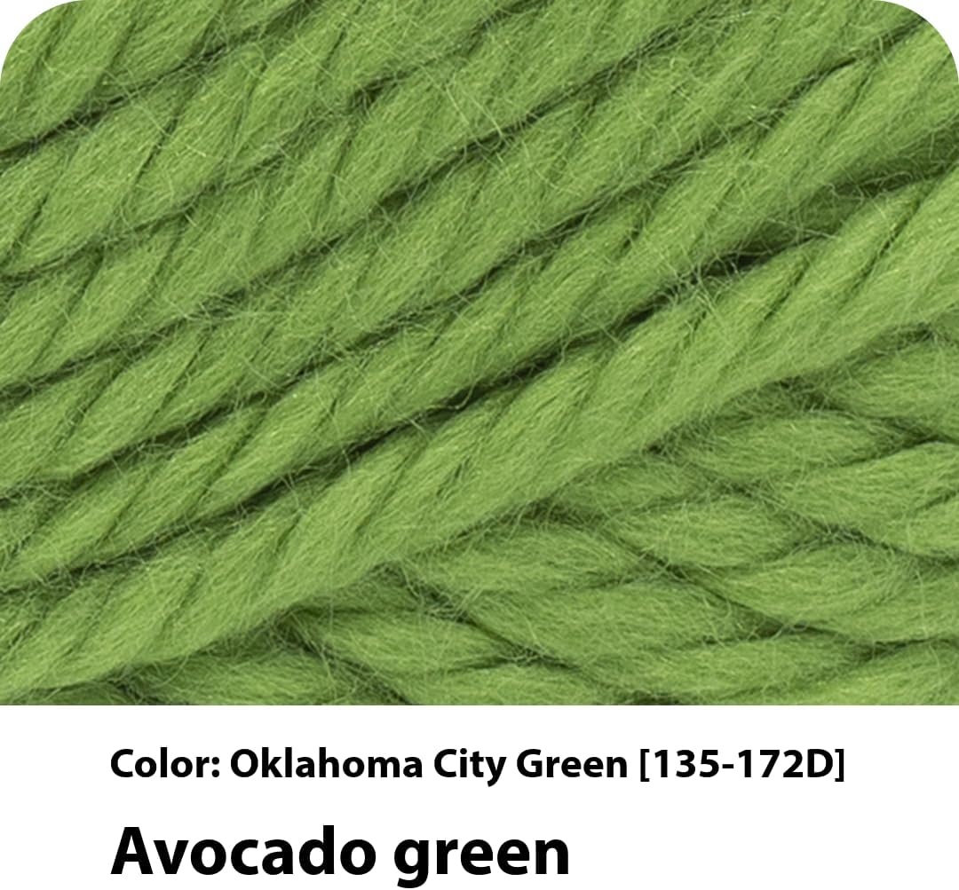 image:imageLion Brand Yarn Hometown Yarn Bulky Yarn Yarn for Knitting and Crocheting 1Pack Anchorage IceSonoma City Green