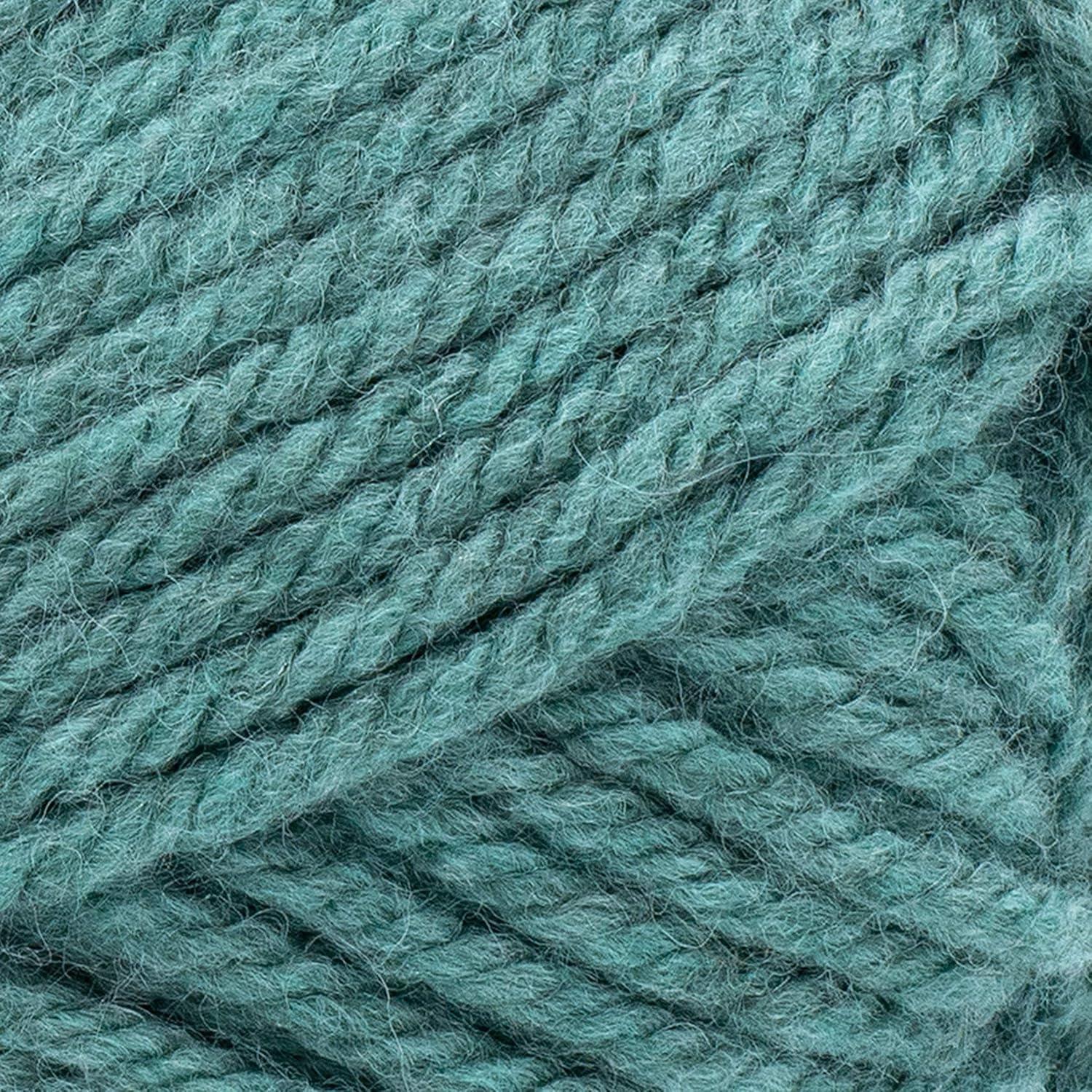 image:imageLion Brand Yarn Hue Me Chunky Yarn for Crocheting Knitting and Crafts Crush 3 PackAgave