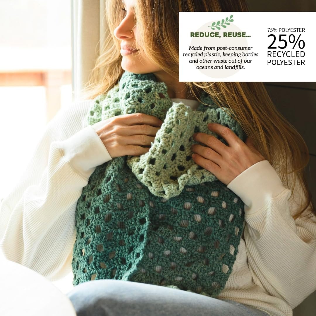 image:imageLion Brand Yarn Landscapes Renewed Recycled Multicolor Yarn for Knitting Dreamcatcher 3 PackFiesta