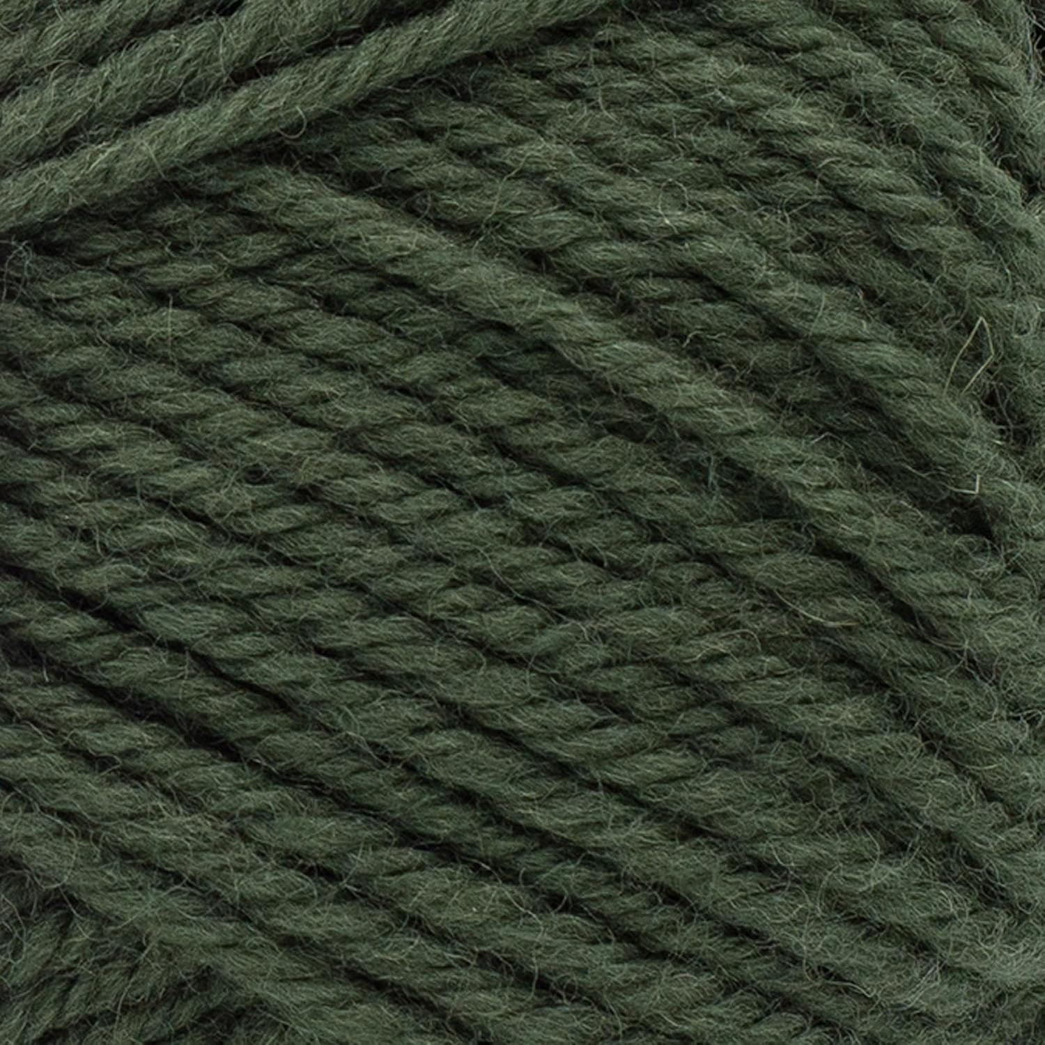 image:imageLion Brand Yarn Local Grown Wool Yarn for Knitting Crochet Quail 1 PackMoss