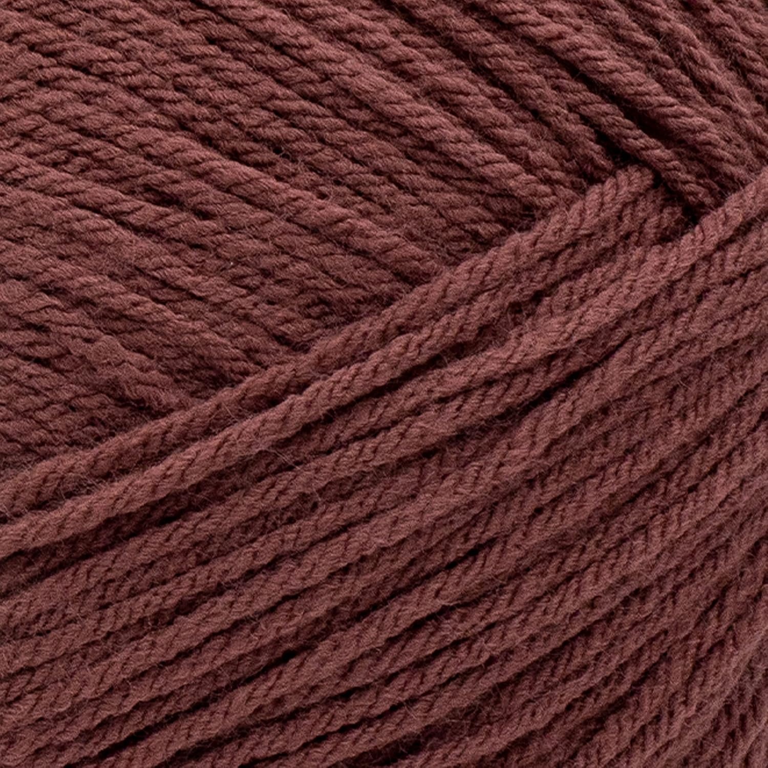 image:imageLion Brand Yarn Pound of Love Large Value Yarn for Knitting Crochet and Crafts Fern 1 PackCinnabar