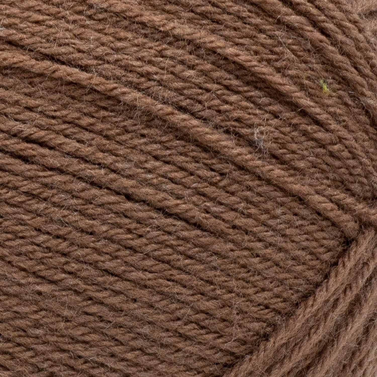 image:imageLion Brand Yarn Pound of Love Large Value Yarn for Knitting Crochet and Crafts Fern 1 PackMocha