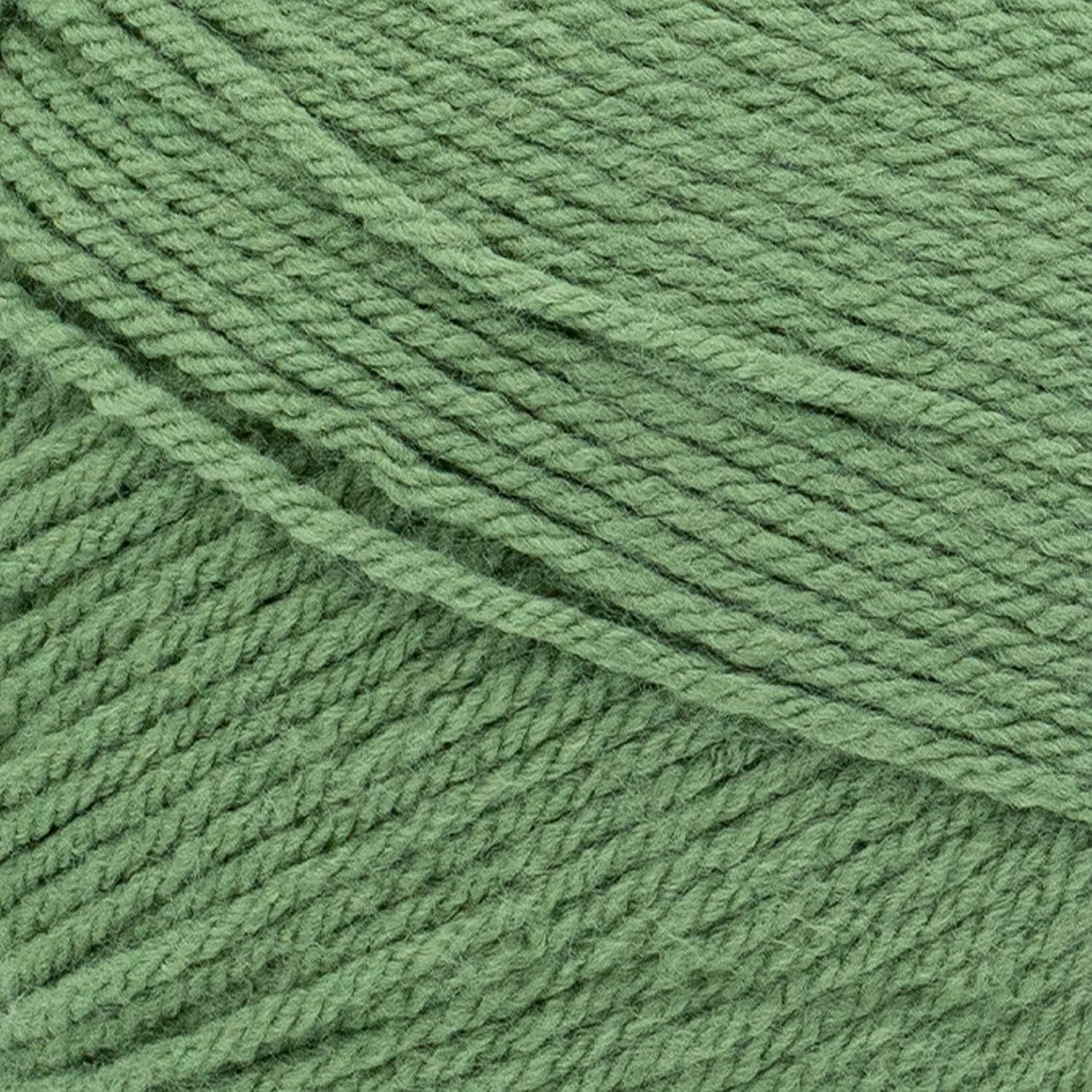 image:imageLion Brand Yarn Pound of Love Large Value Yarn for Knitting Crochet and Crafts Fern 1 PackOlive