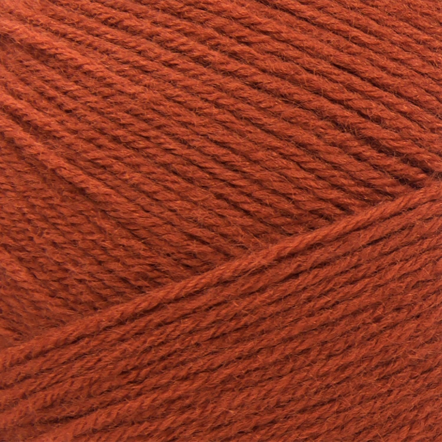 image:imageLion Brand Yarn Pound of Love Large Value Yarn for Knitting Crochet and Crafts Fern 1 PackPumpkin Spice