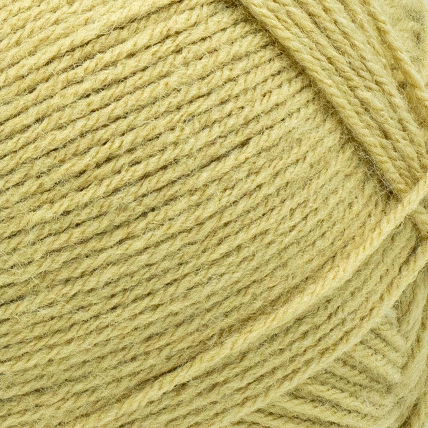 image:imageLion Brand Yarn Pound of Love Large Value Yarn for Knitting Crochet and Crafts Fern 1 PackStraw