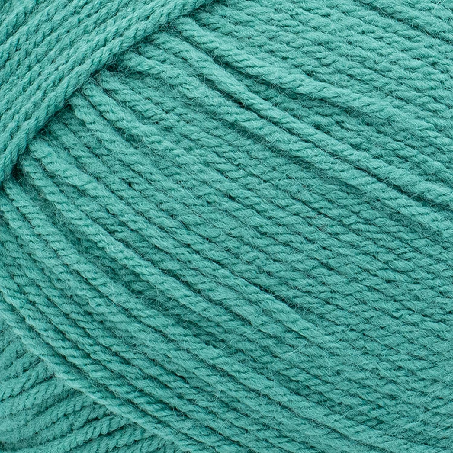 image:imageLion Brand Yarn Pound of Love Large Value Yarn for Knitting Crochet and Crafts Fern 1 PackWaterfall