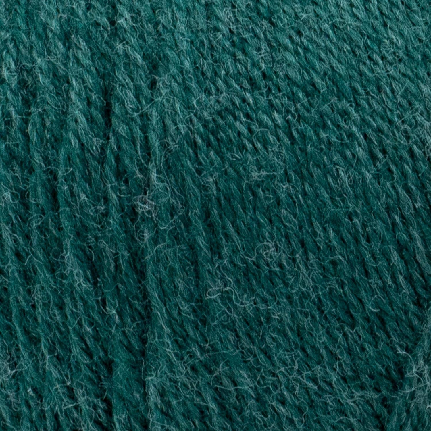 image:imageLion Brand Yarn Recycled Polyester ReSpun Bonus Bundle Yarn for Crocheting and Knitting Pheasant 1 PackAlpine