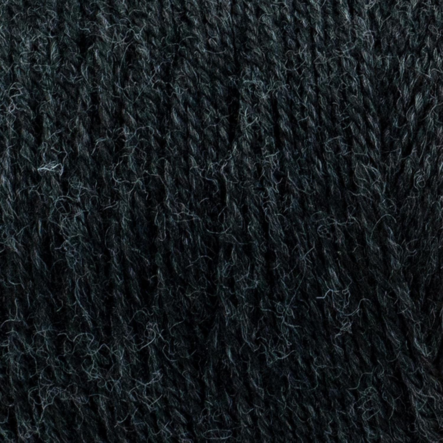 image:imageLion Brand Yarn Recycled Polyester ReSpun Bonus Bundle Yarn for Crocheting and Knitting Pheasant 1 PackRaven