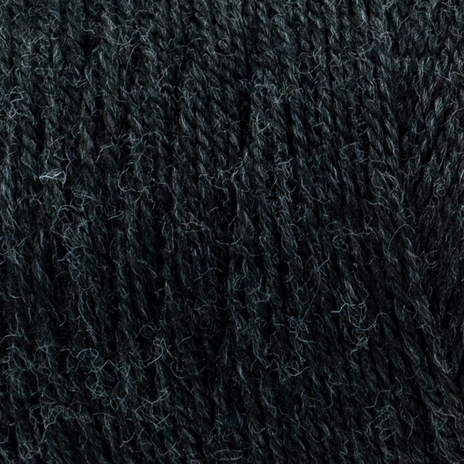 image:imageLion Brand Yarn Recycled Polyester ReSpun Bonus Bundle Yarn for Crocheting and Knitting Raven 1 Pack