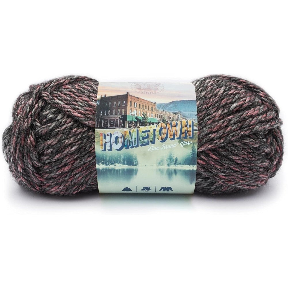 image:imageLion Brand Yarn Hometown Yarn Bulky Yarn Yarn for Knitting and Crocheting 1Pack Anchorage IceSalem Creek