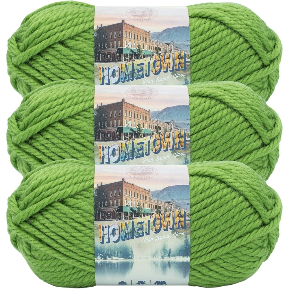 image:imageLion Brand Yarn Hometown Yarn Bulky Yarn Yarn for Knitting and Crocheting 1Pack Anchorage IceSonoma City Green