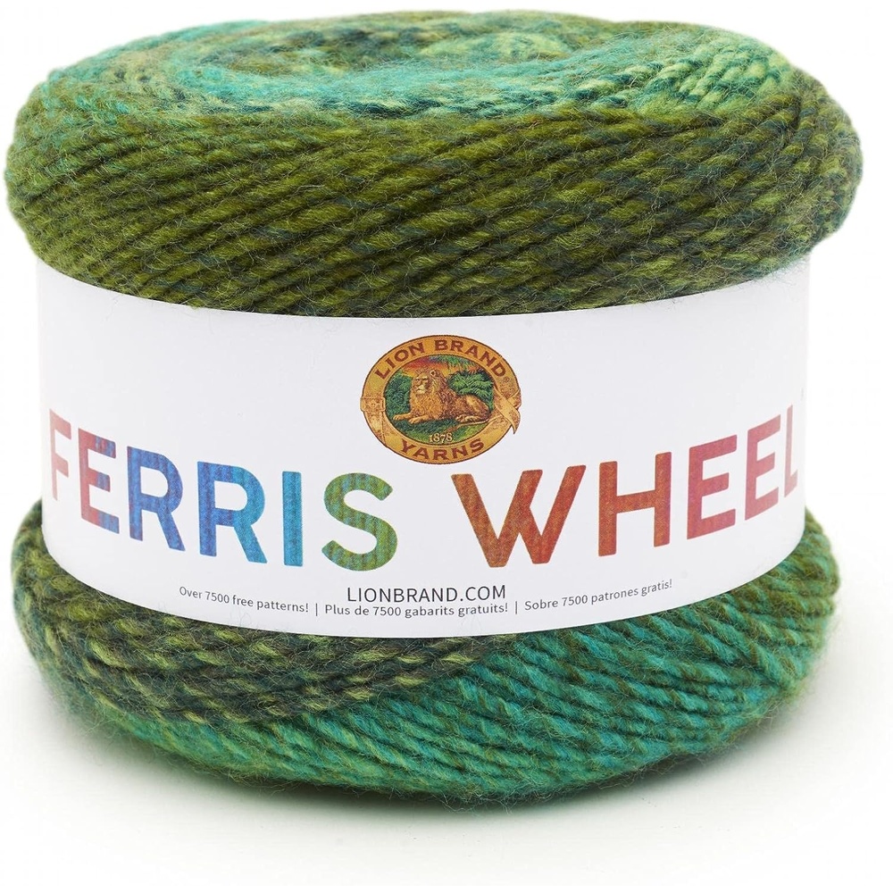 image:imageLion Brand Yarn Muticolor Ferris Wheel Yarn for Knitting Crocheting and Crafts Evergreen 1 Pack