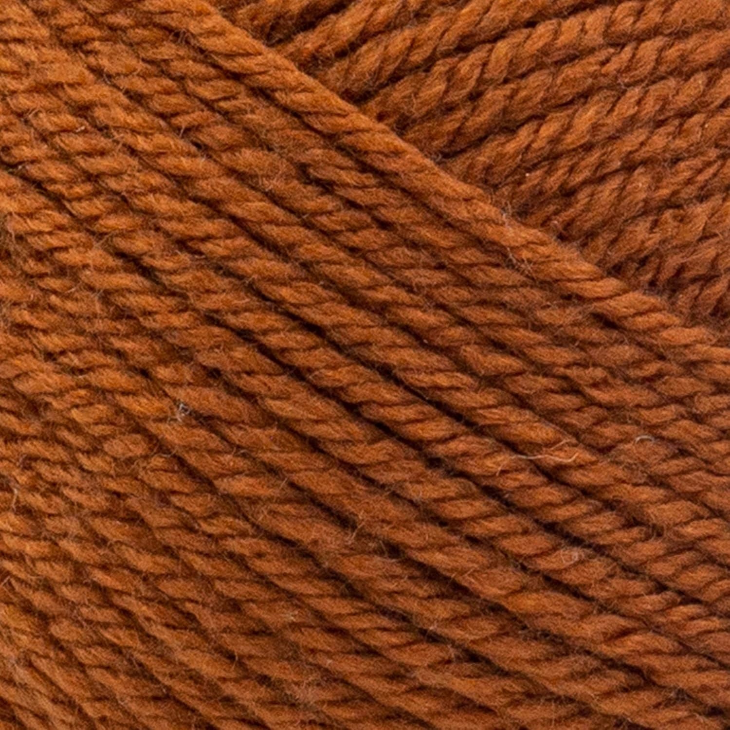 image:image1 Skein Lion Brand Yarn Basic Stitch Anti Pilling Yarn FairviewAdobe