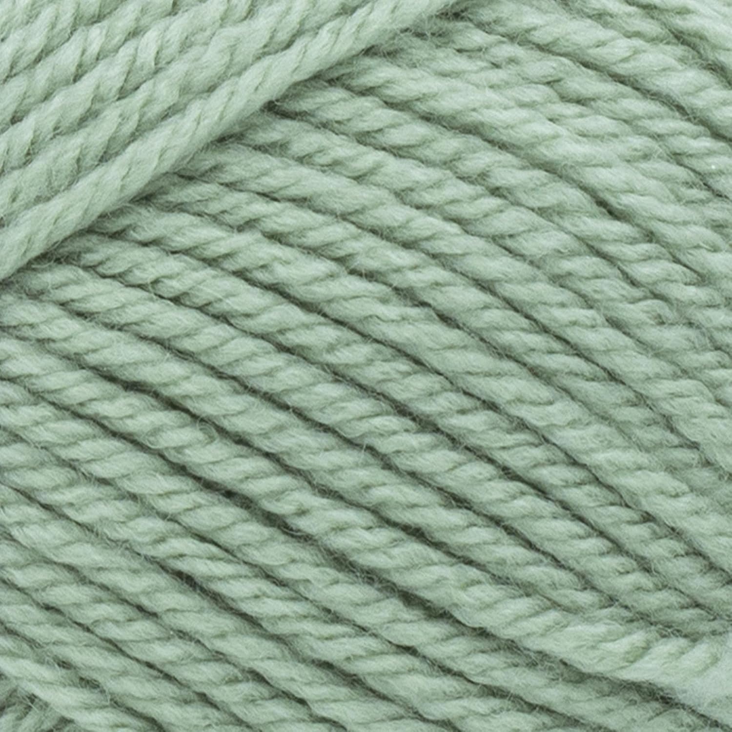 image:image1 Skein Lion Brand Yarn Basic Stitch Anti Pilling Yarn FairviewSage