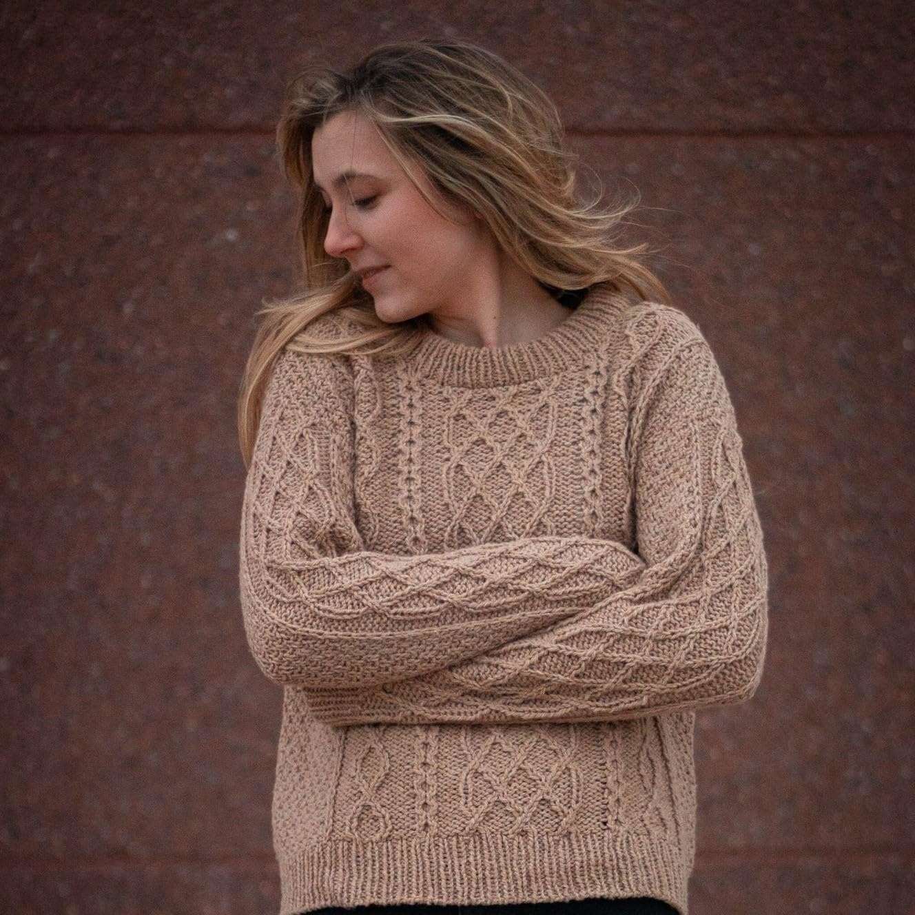 image:image1 Skein Lion Brand Yarn ReTweed Yarn HayArctic Ice