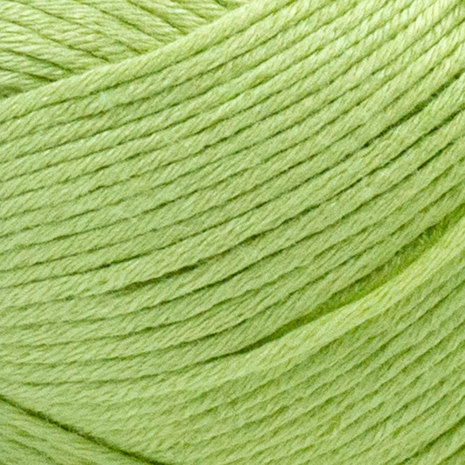 image:image1 Skein Lion Brand Yarn Truboo Yarn Light PinkCelery