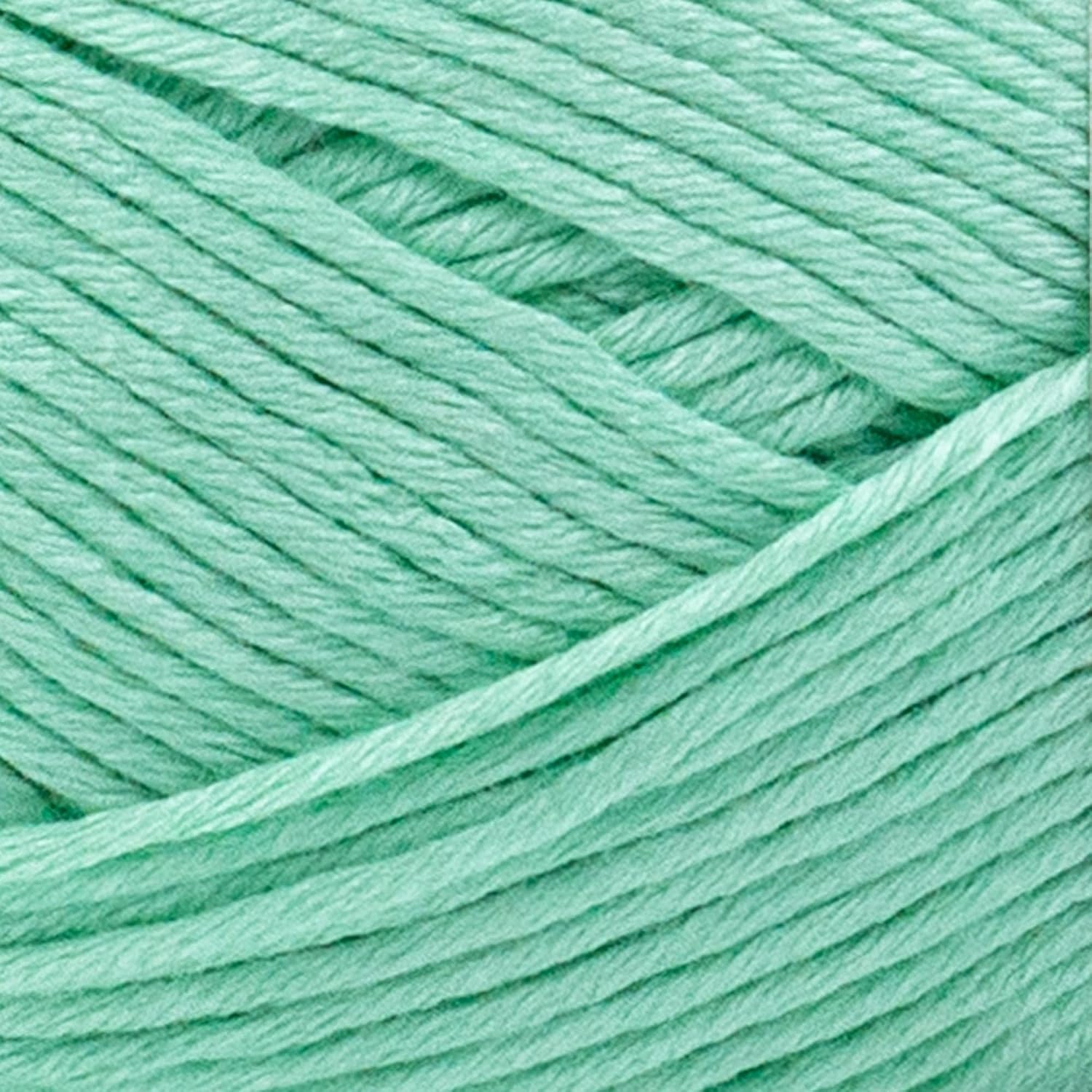 image:image1 Skein Lion Brand Yarn Truboo Yarn Light PinkMint