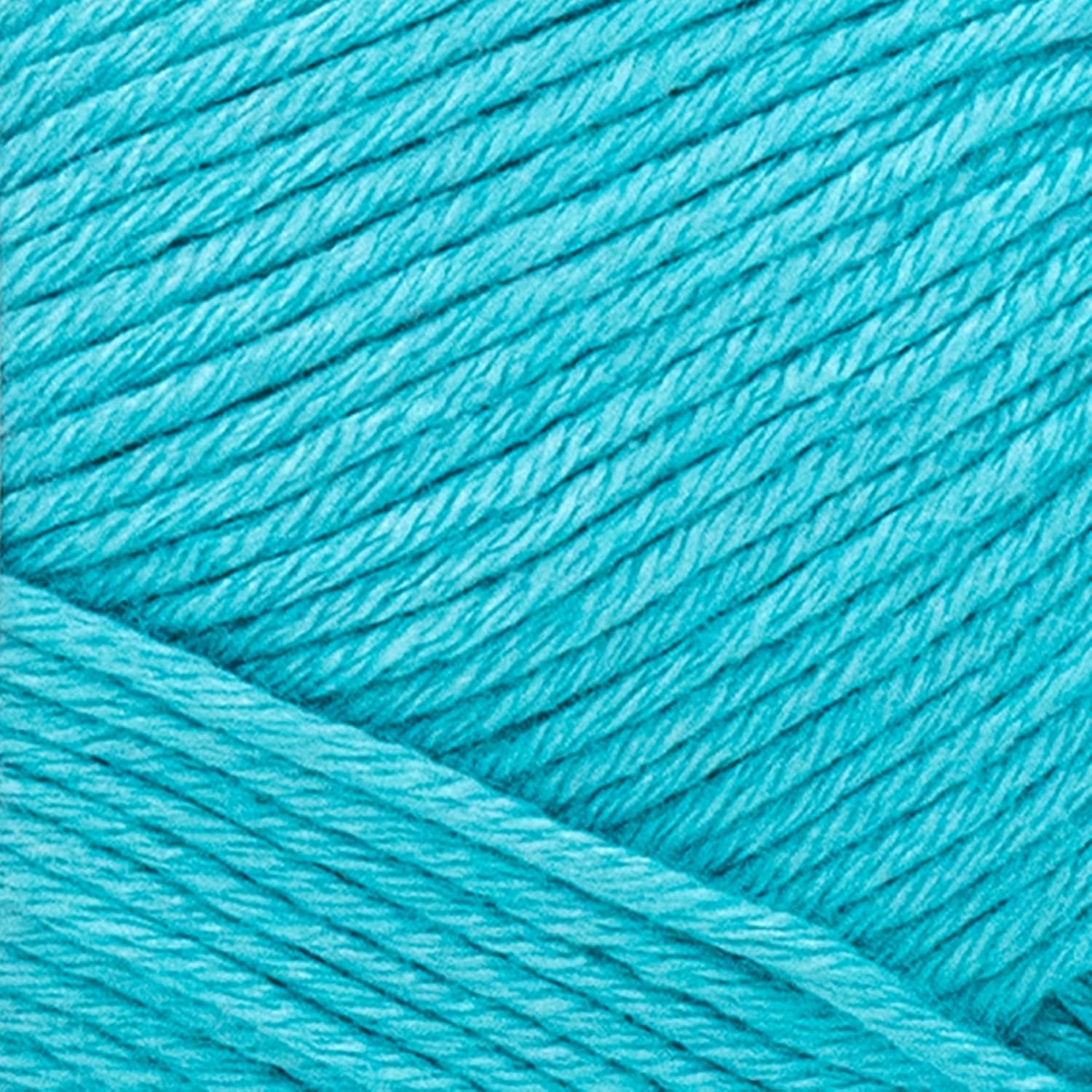 image:image1 Skein Lion Brand Yarn Truboo Yarn WhiteAqua