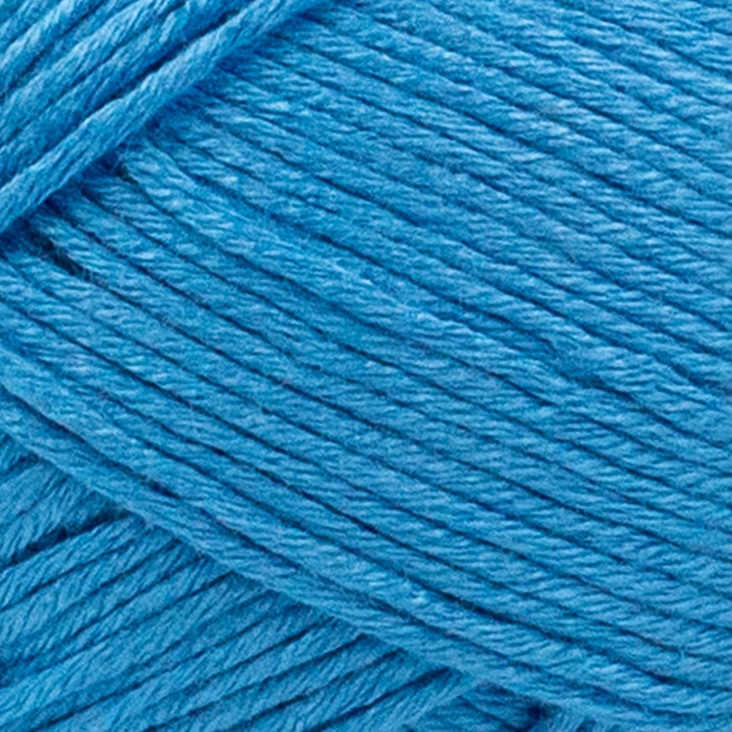 image:image1 Skein Lion Brand Yarn Truboo Yarn WhiteBlue
