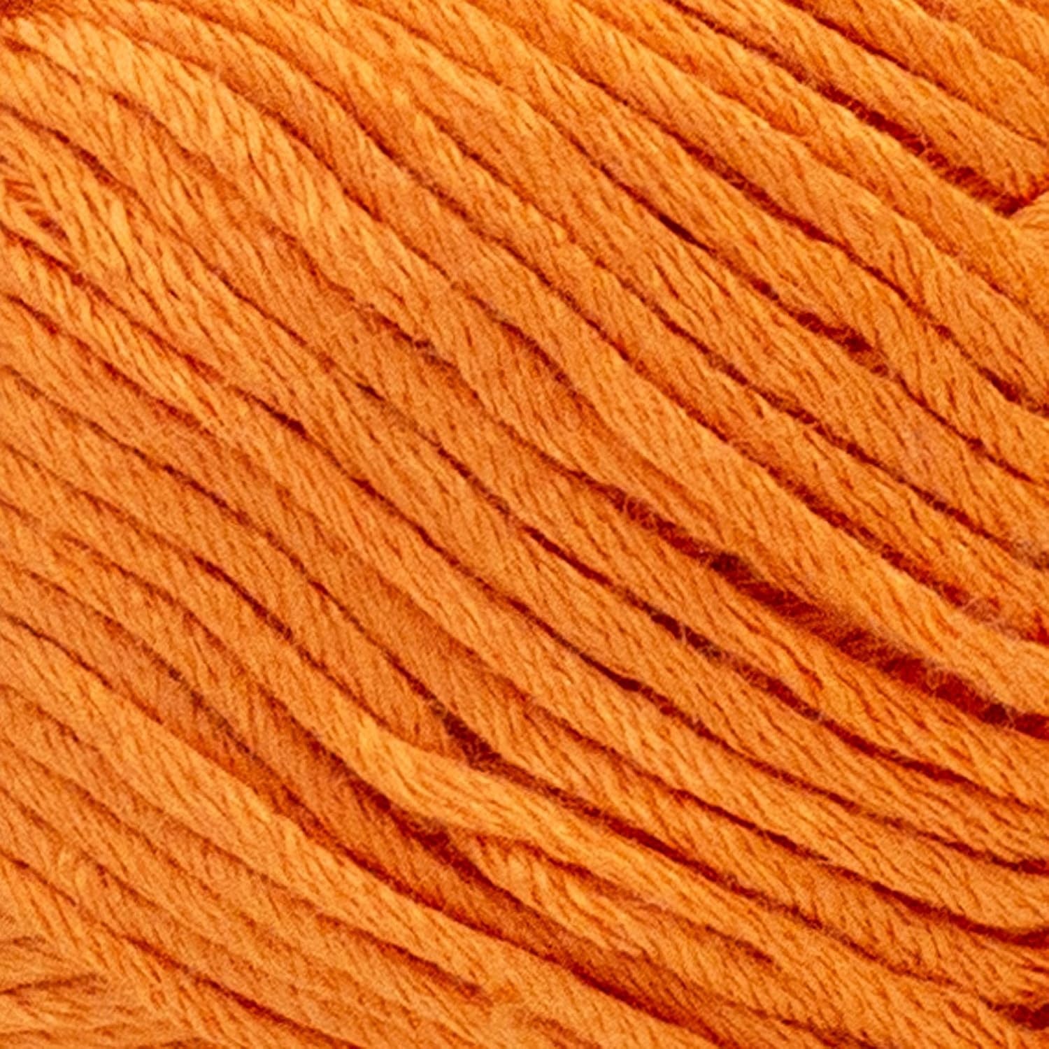 image:image1 Skein Lion Brand Yarn Truboo Yarn WhiteTangerine