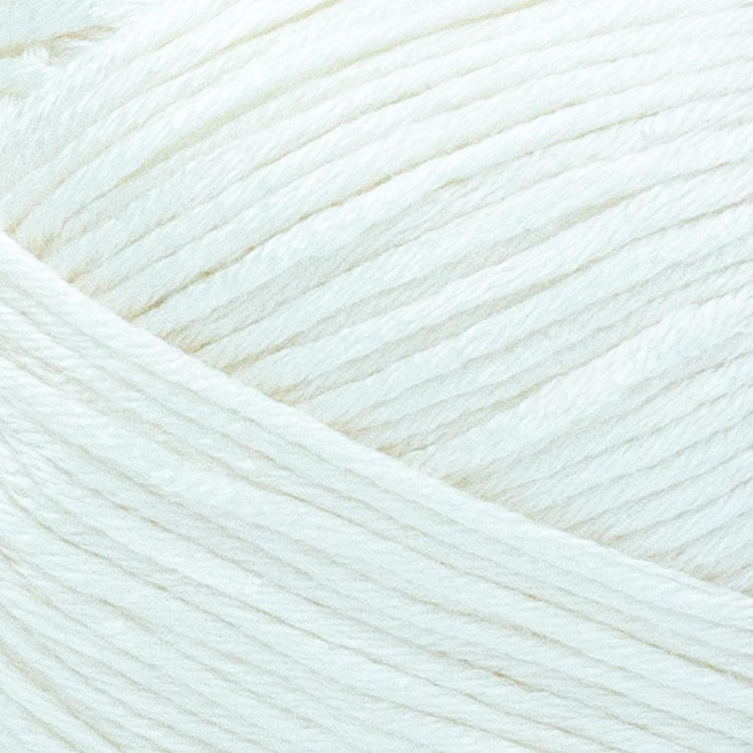 image:image1 Skein Lion Brand Yarn Truboo Yarn WhiteWhite