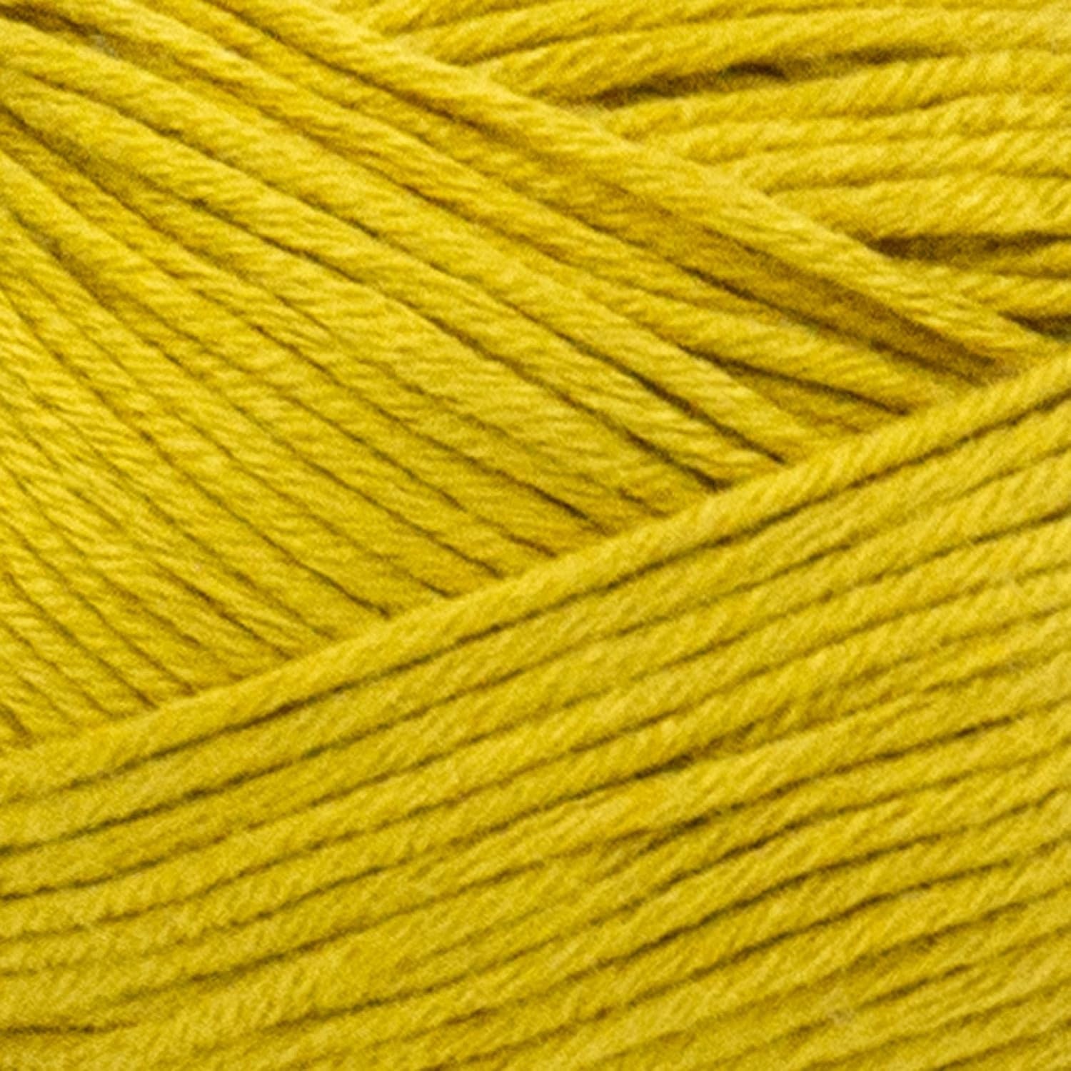 image:image3 Pack Lion Brand Yarn Truboo Yarn AquaGoldenrod