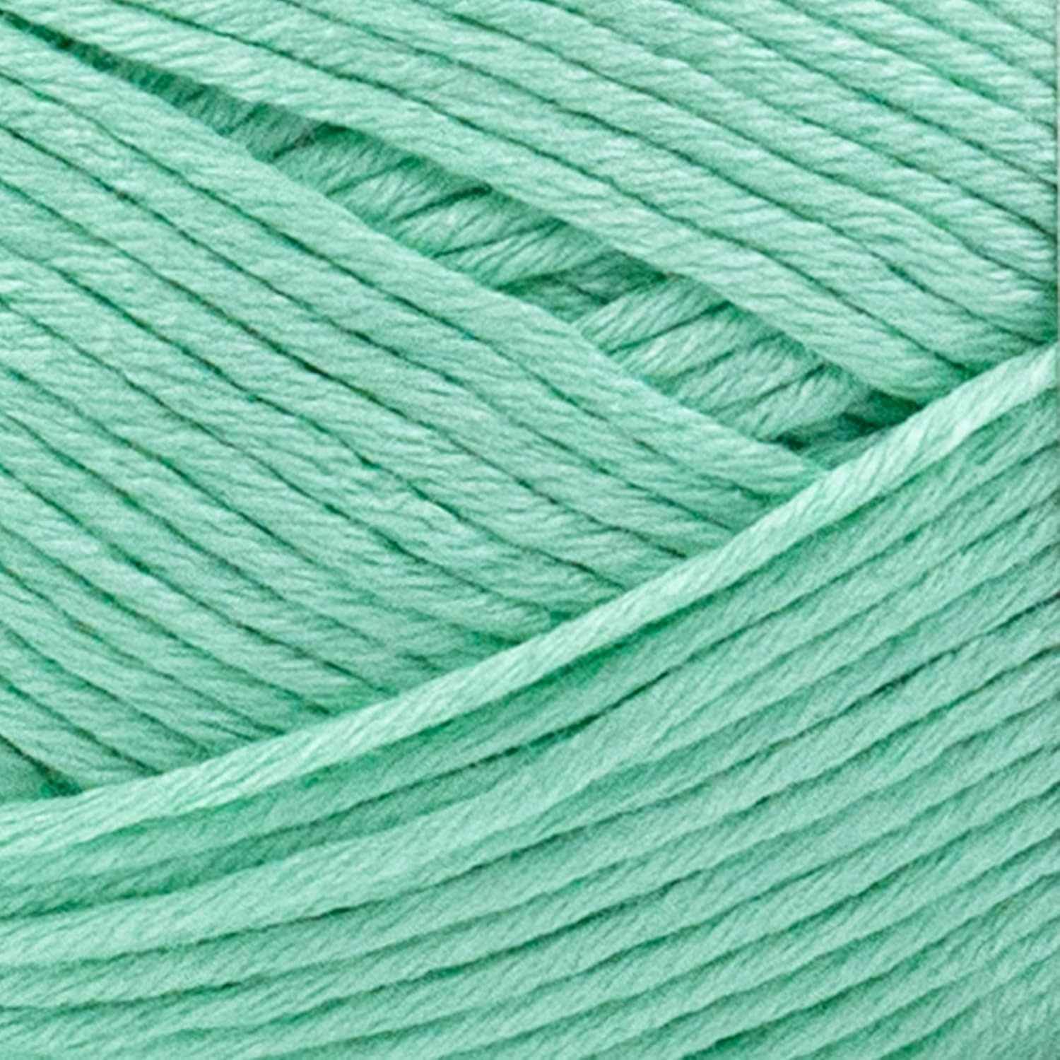 image:image3 Pack Lion Brand Yarn Truboo Yarn AquaMint