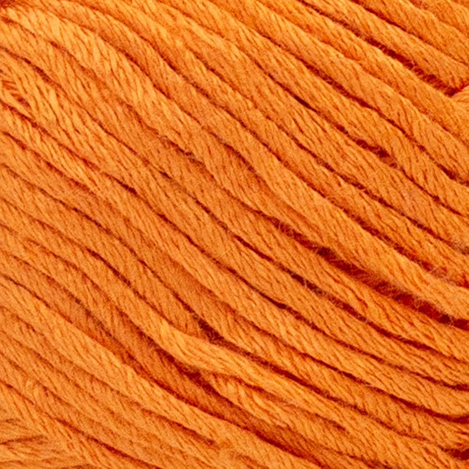 image:image3 Pack Lion Brand Yarn Truboo Yarn AquaTangerine