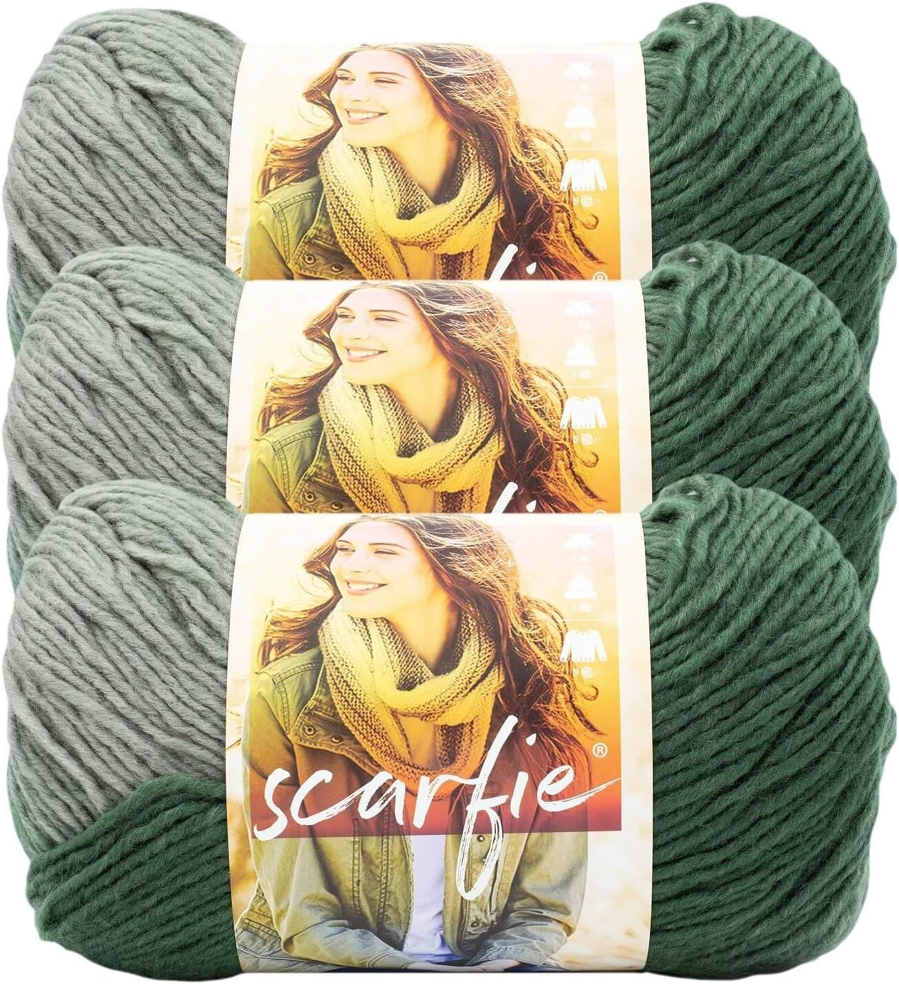image:imageLion Brand Yarn 1 Skein Scarfie Bulky Yarn PinkSilverEvergreenPearl Grey