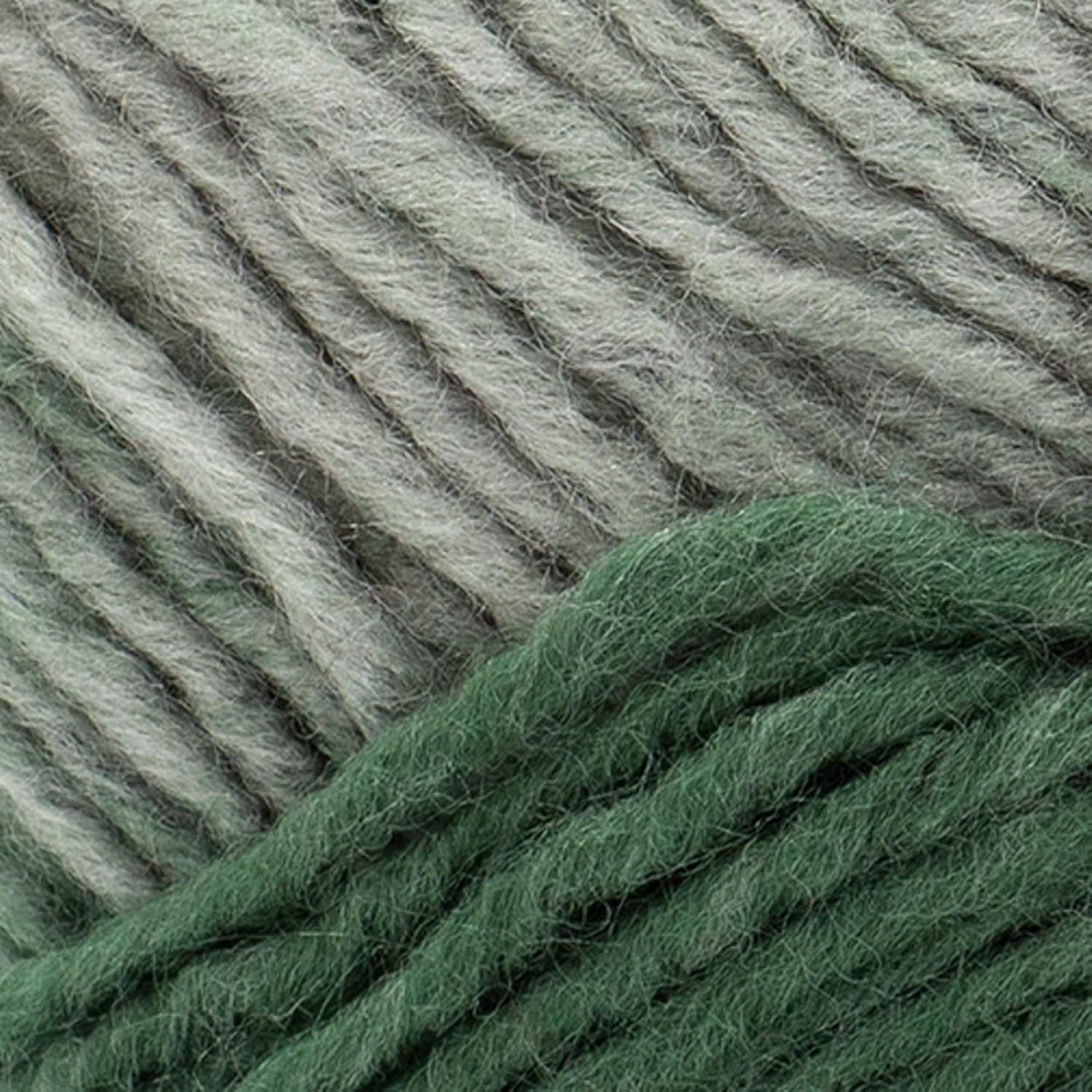 image:imageLion Brand Yarn 1 Skein Scarfie Bulky Yarn PinkSilverEvergreenPearl Grey
