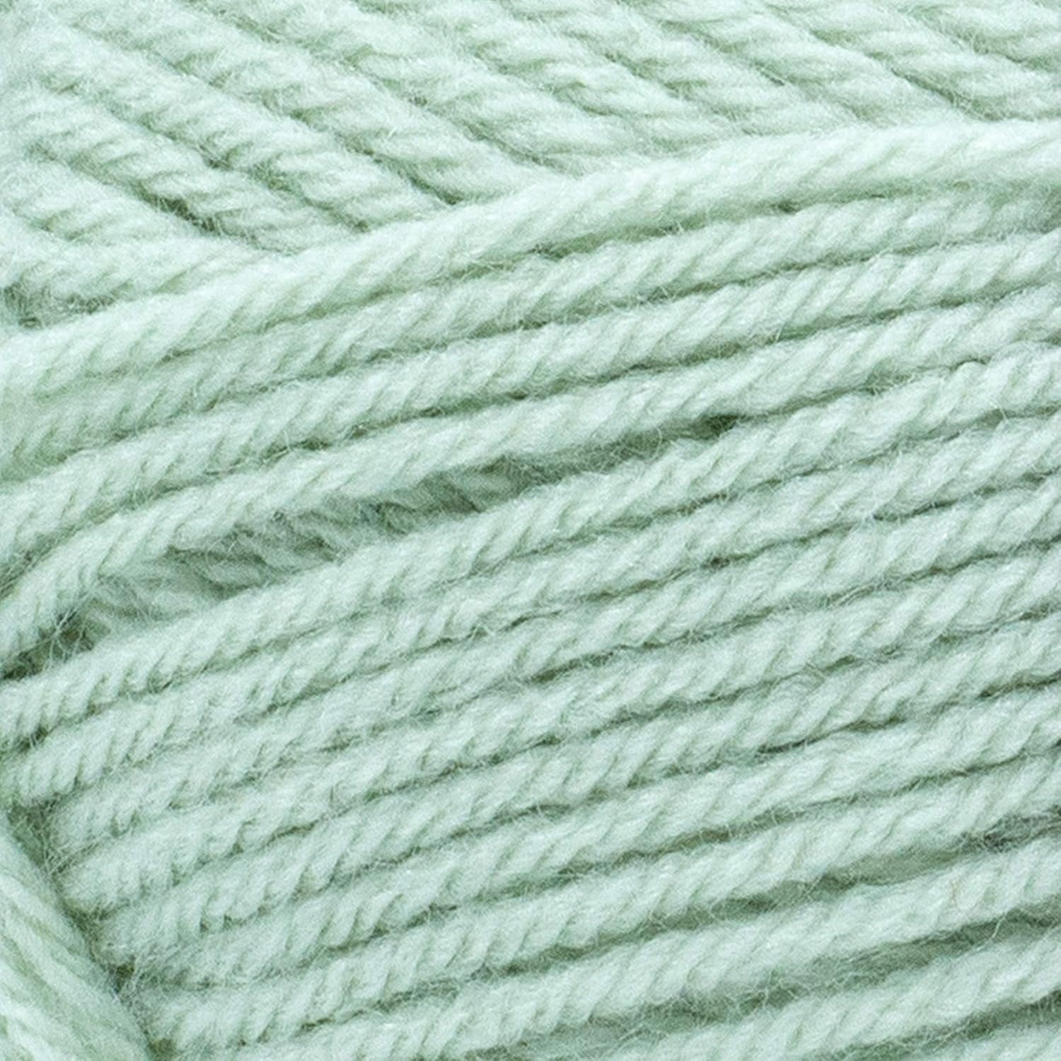 image:imageLion Brand Yarn 1 Skein Vannas Choice Yarn White 35 OuncesLemon Pepper