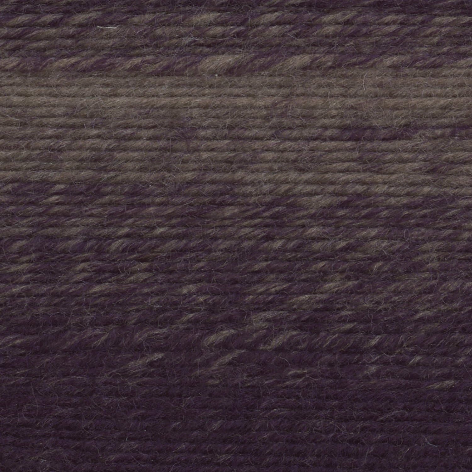image:imageLion Brand Yarn 826208 Scarfie Yarn OxfordClaretEggplantTaupe