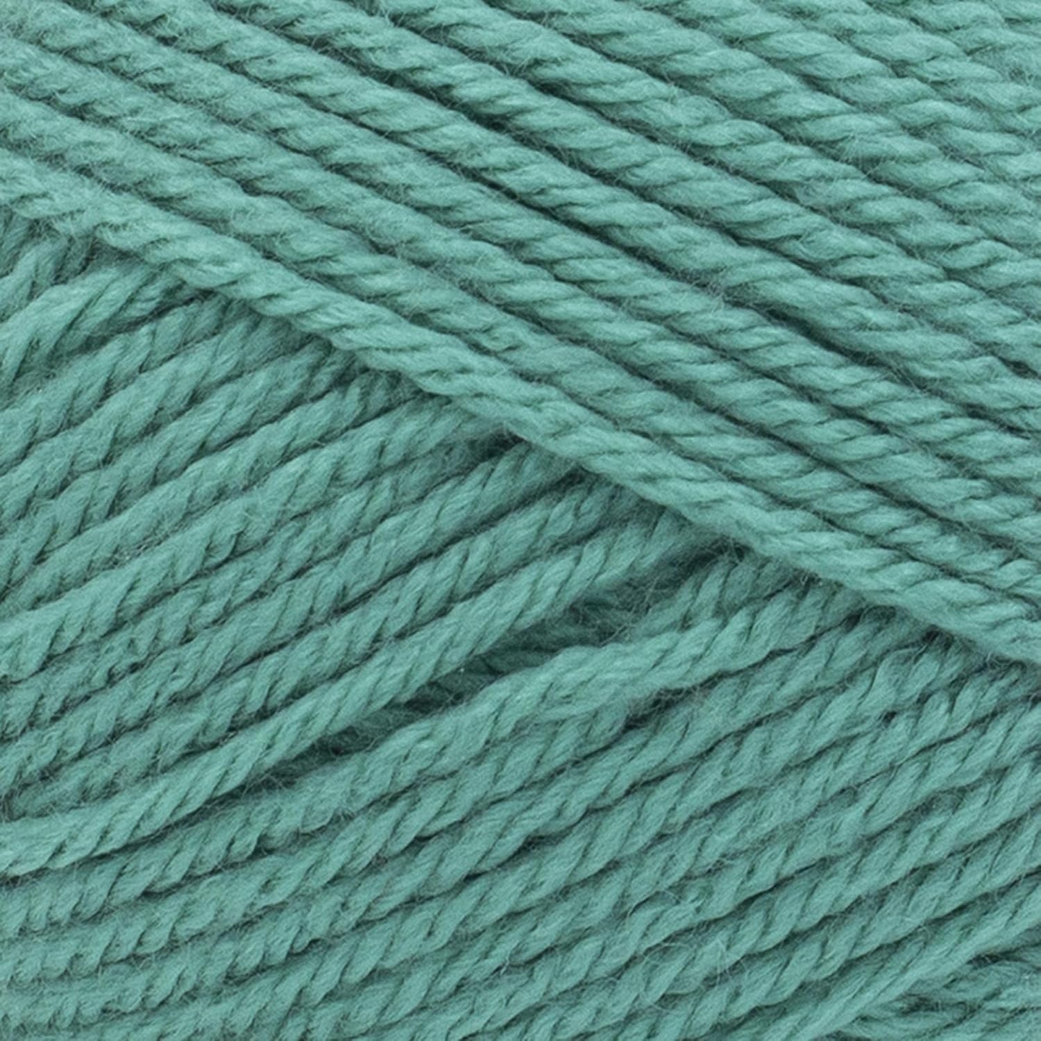 image:imageLion Brand Yarn Basic Stitch AntiPilling Knitting Yarn Yarn for Crocheting 1Pack PumpkinBeryl