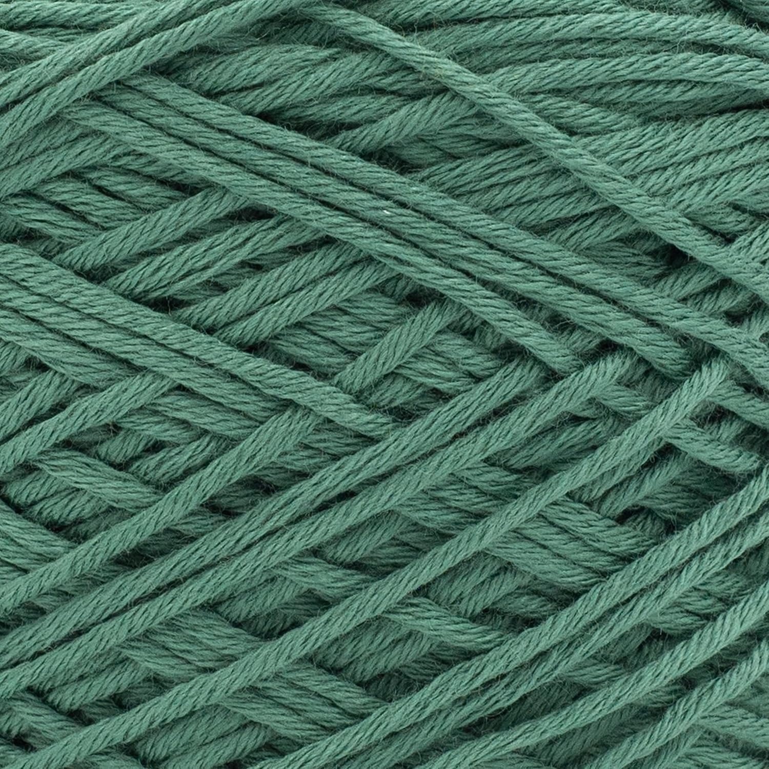 image:imageLion Brand Yarn Coboo Yarn Pink 1 SkeinBayberry