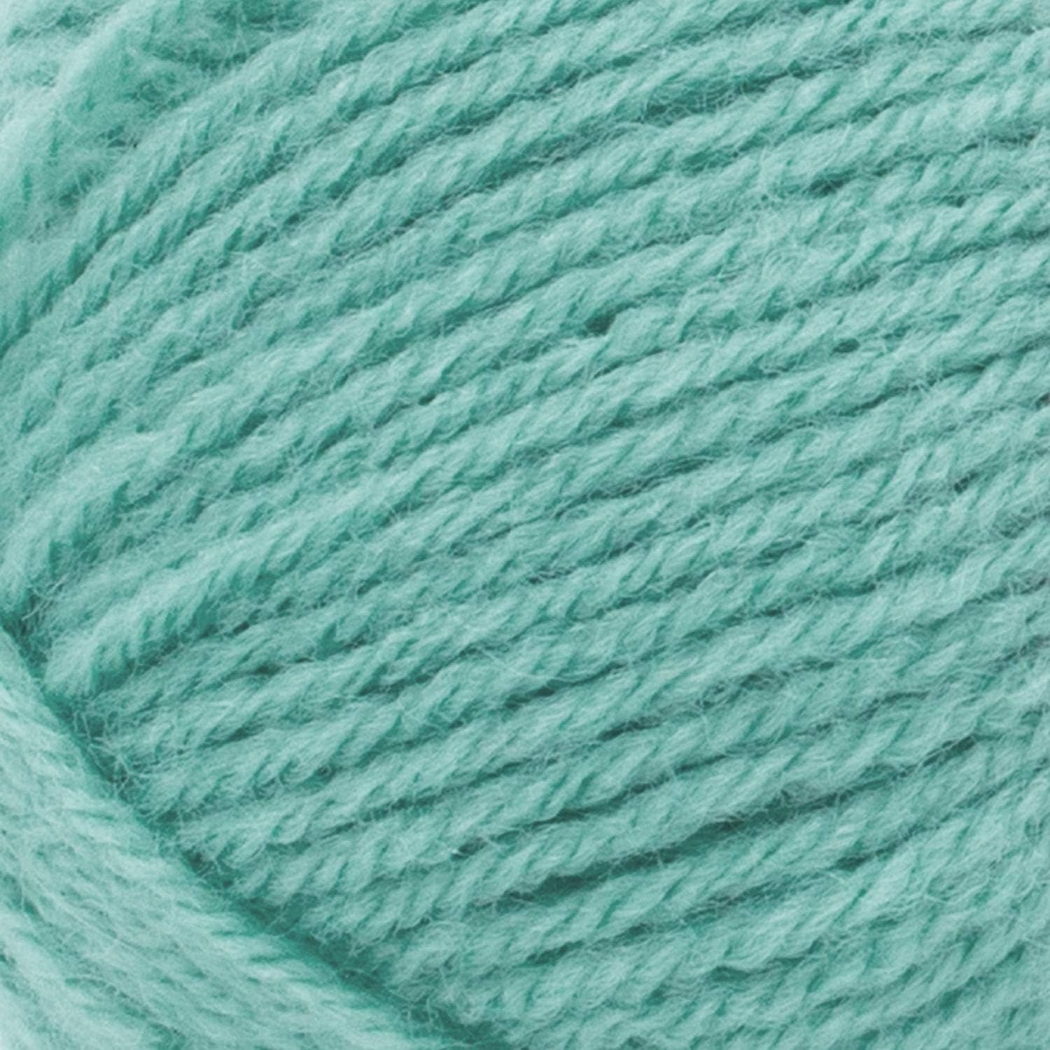 image:imageLion Brand Yarn WoolEase Yarn WorstedWeight Yarn for Knitting and Crocheting 1 Pack IcicleSucculent