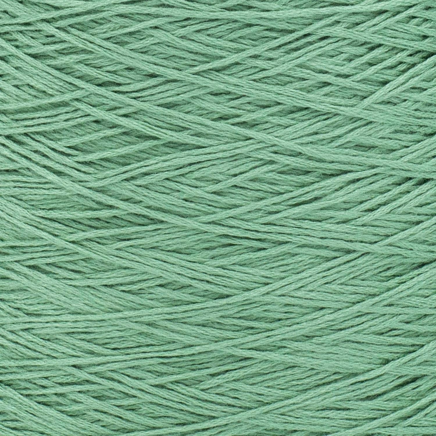image:imageSilk City Fibers Bambu 7gg 100 Viscose derived from Bamboo Yarn for Machine Knitting Weaving and Crochet Red Passion 1 Cone Designer Yarn for Garments Soft Shawls and Fingering Weight ProjectsCilantro
