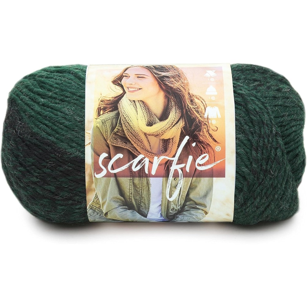 image:imageLion Brand Yarn 1 Skein Scarfie Bulky Yarn PinkSilverForestBlack