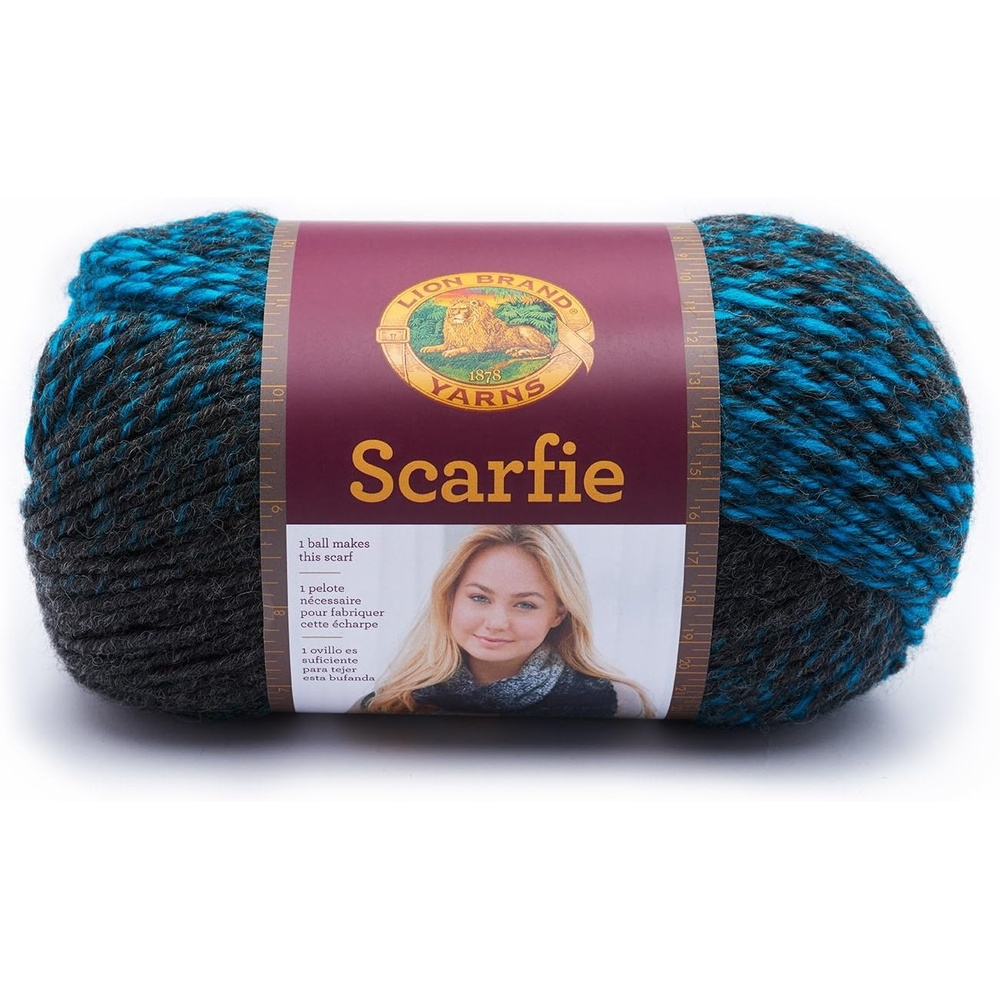 image:imageLion Brand Yarn 826208 Scarfie Yarn OxfordClaretCharcoalAqua