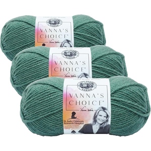 Lion Brand Yarn (1 Skein) Vanna’s Choice Yarn, White, 3.5 Ounces(세이지)