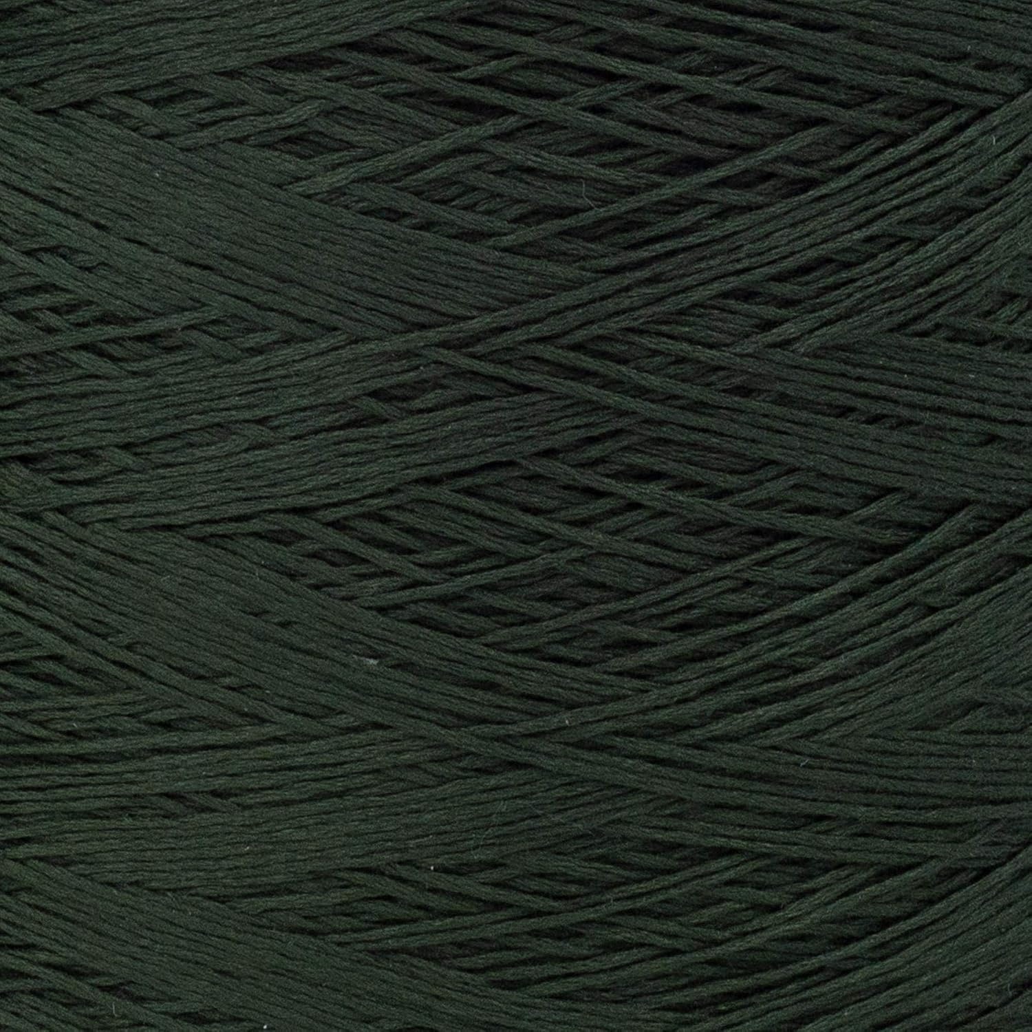 image:imageSilk City Fibers Bambu 7gg 100 Viscose derived from Bamboo Yarn for Machine Knitting Weaving and Crochet Cyclamen 1 Cone Designer Yarn for Garments Soft Shawls and Fingering Weight ProjectsKelp