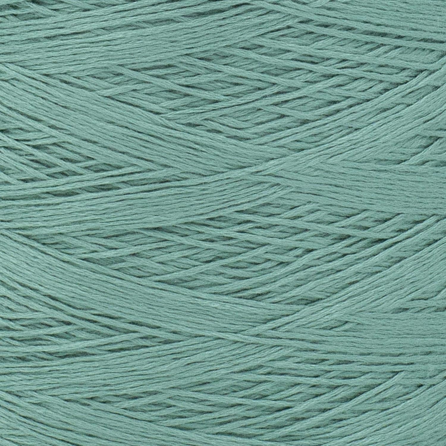 image:imageSilk City Fibers Bambu 7gg 100 Viscose derived from Bamboo Yarn for Machine Knitting Weaving and Crochet Cyclamen 1 Cone Designer Yarn for Garments Soft Shawls and Fingering Weight ProjectsRosemary